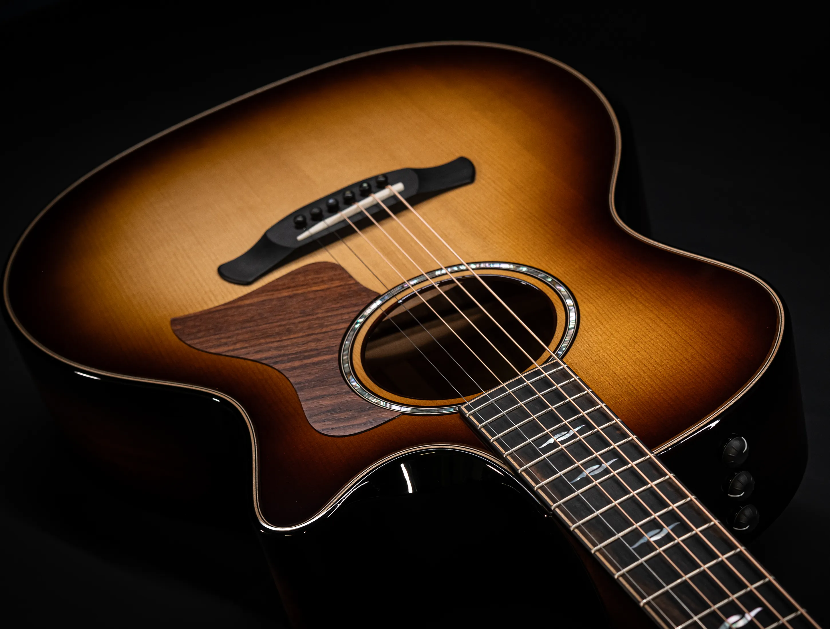 a171178 Taylor Builders Edition 814ce Honduras Palisander meets Adirondack Musikhaus-Hermann