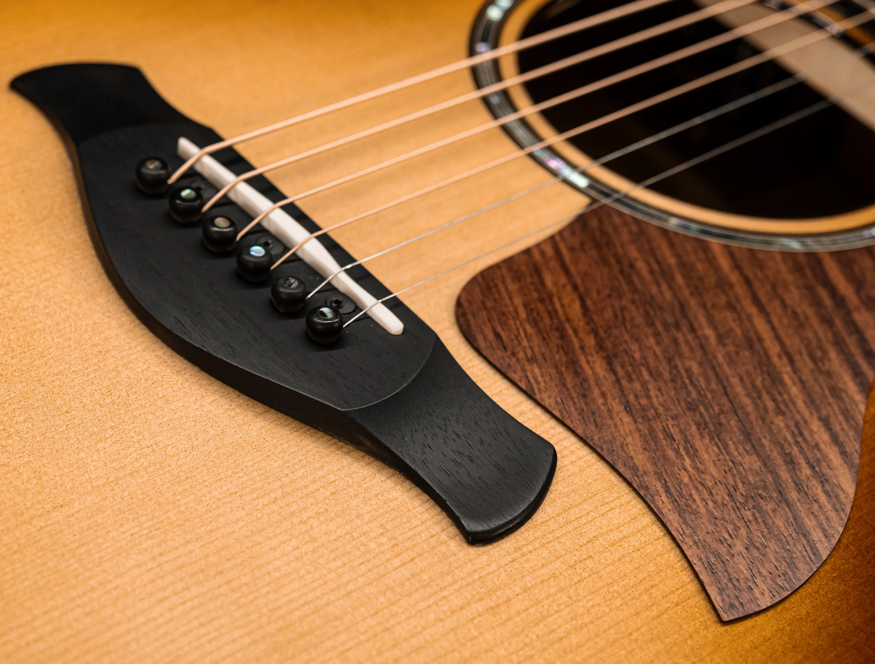 a171161 Taylor Builders Edition 814ce Honduras Palisander meets Adirondack Musikhaus-Hermann