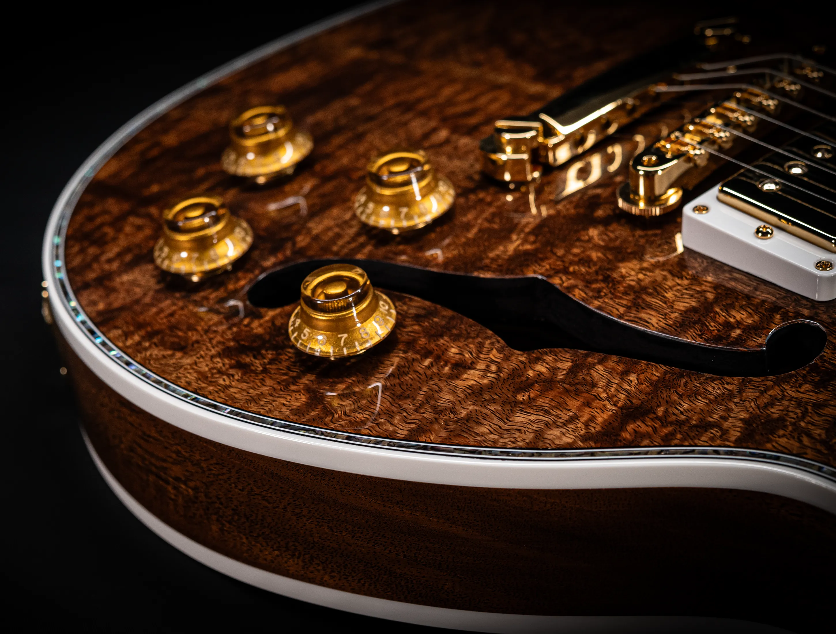 Gibson Les Paul ULTIMA BELLA VOCE Mastergrade Koa F-Hole GLOSS  - ONE-OF-A-KIND