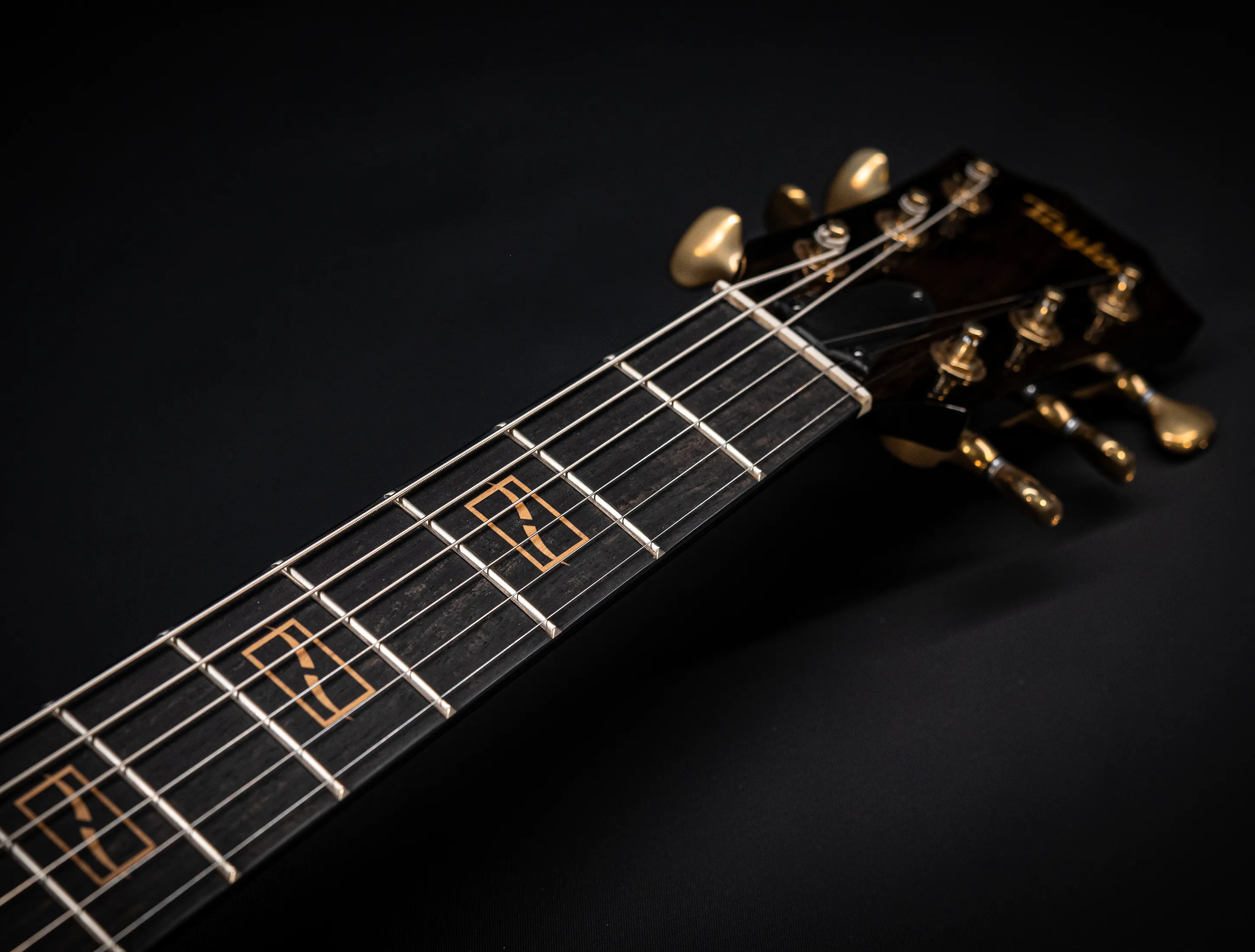 a174934 Taylor Custom T5z Boxwood Antique Blonde musikhaus-hermann