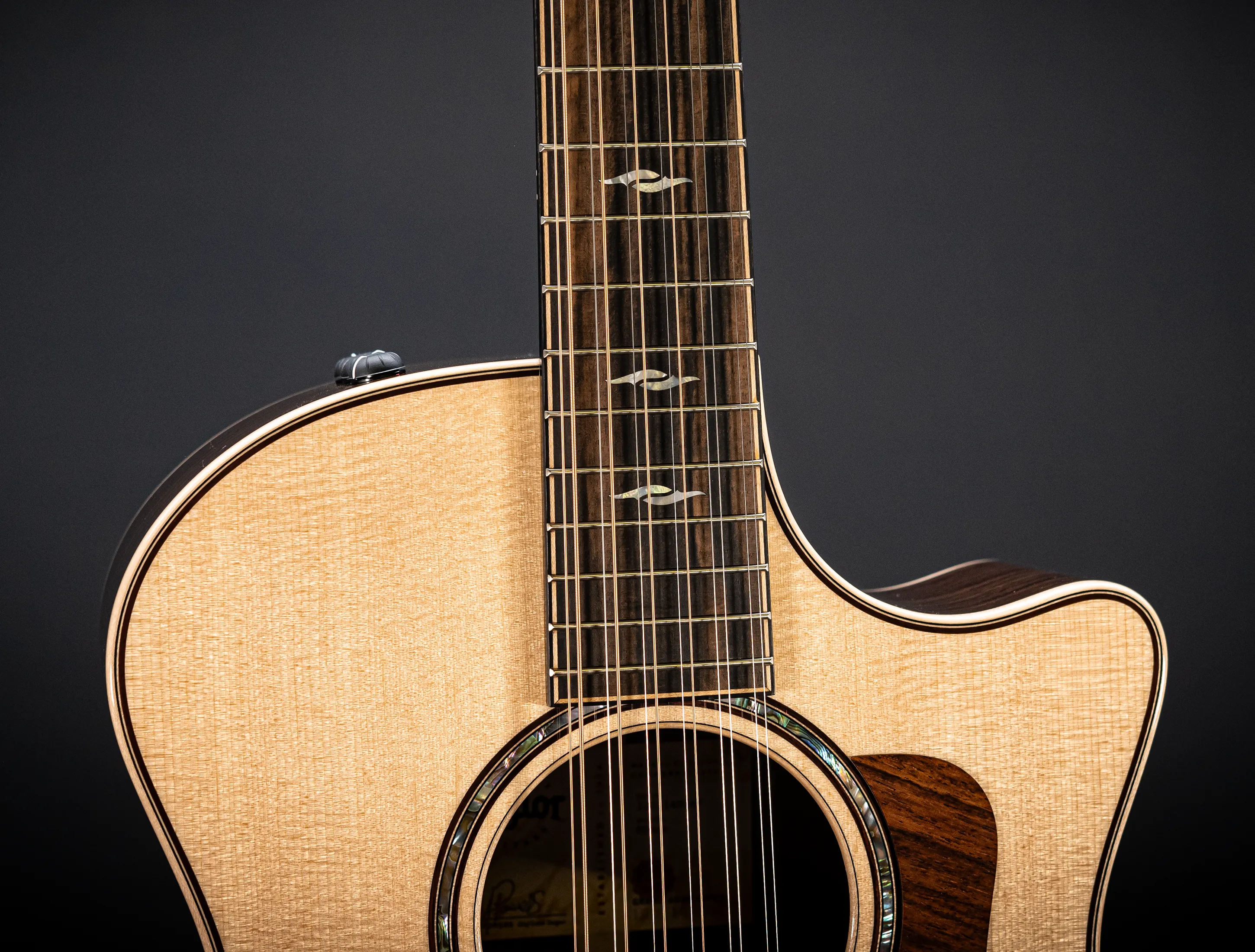 a174772 Taylor 854ce 12 Saitig musikhaus-hermann