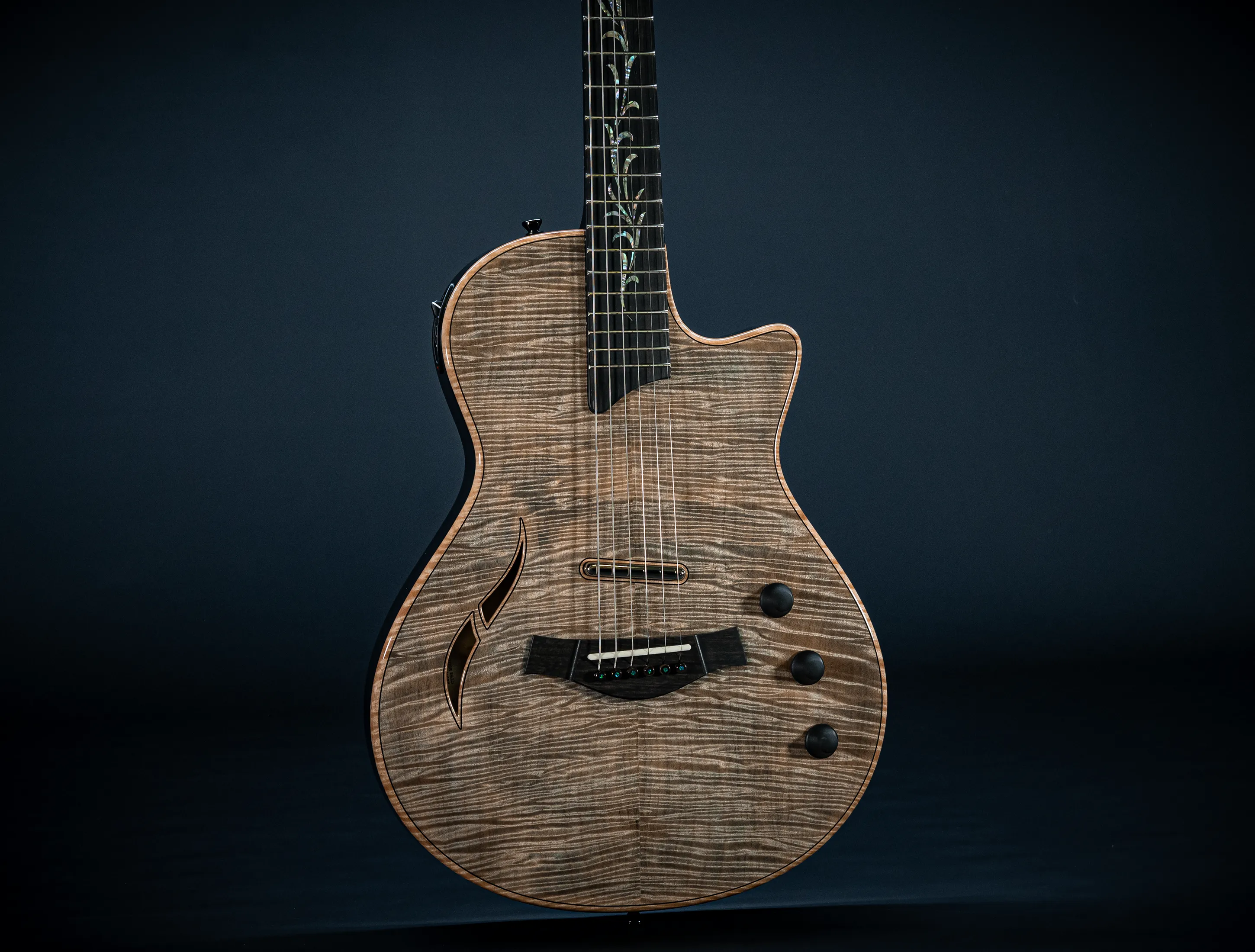 Taylor Custom T5z Ocean Vine