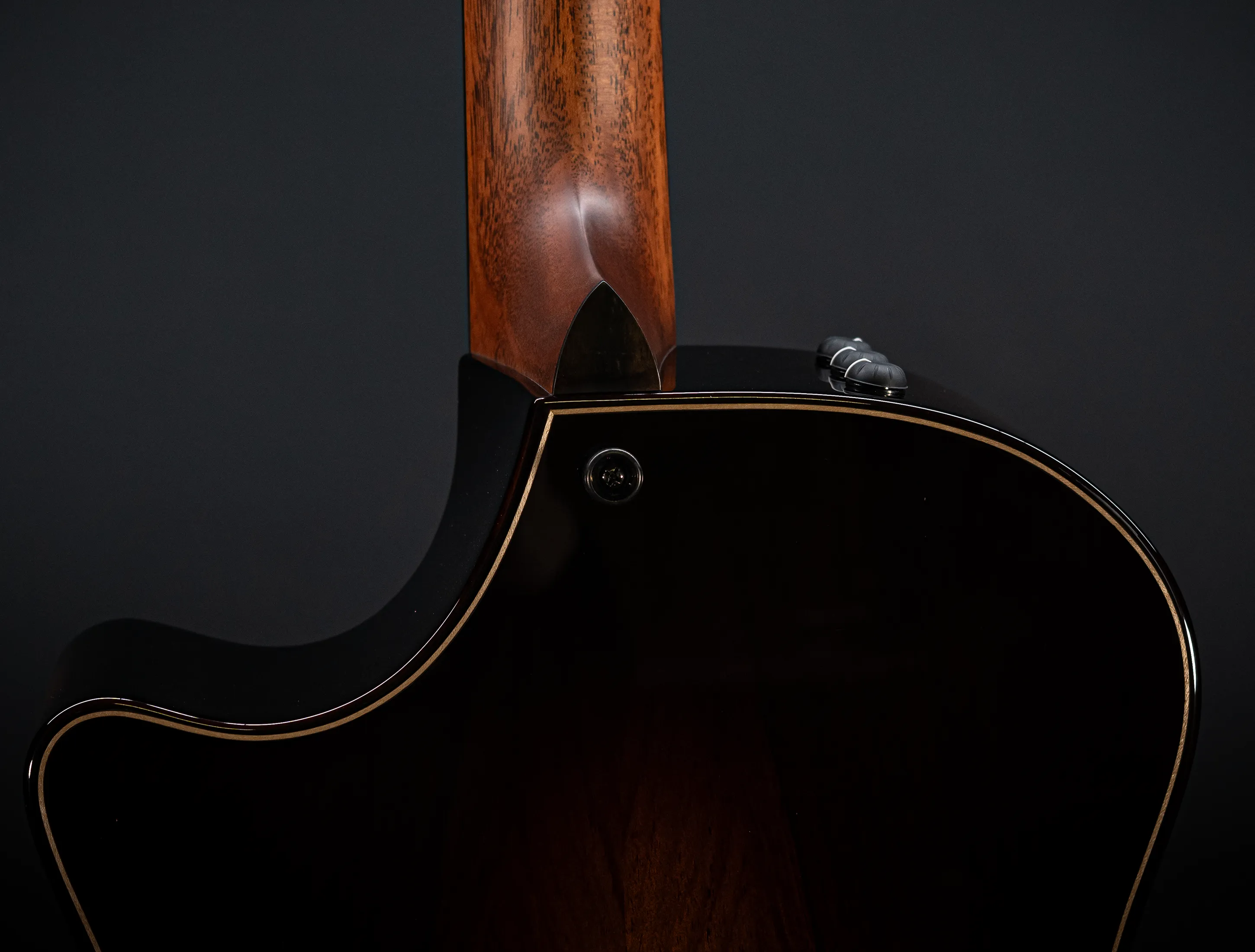 a171187 Taylor Builders Edition 814ce Honduras Palisander meets Adirondack Musikhaus-Hermann