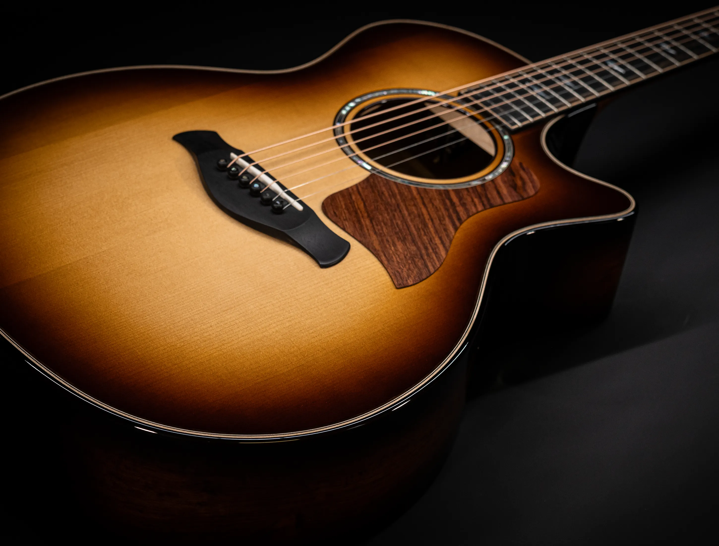 a171166 Taylor Builders Edition 814ce Honduras Palisander meets Adirondack Musikhaus-Hermann
