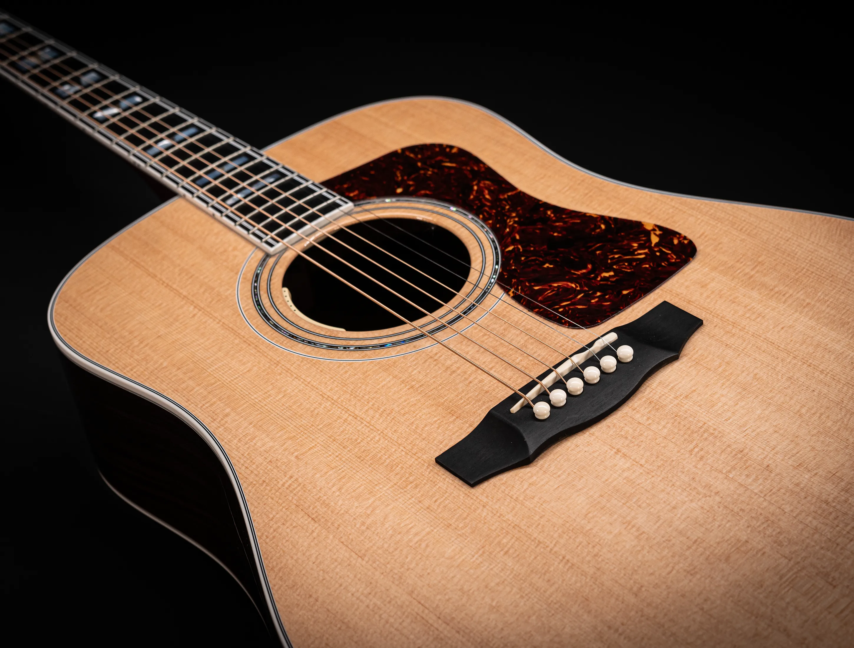 Galerie anzeigen (27 Bilder) a161221 Guild D-55E Natural L.R.Baggs USA