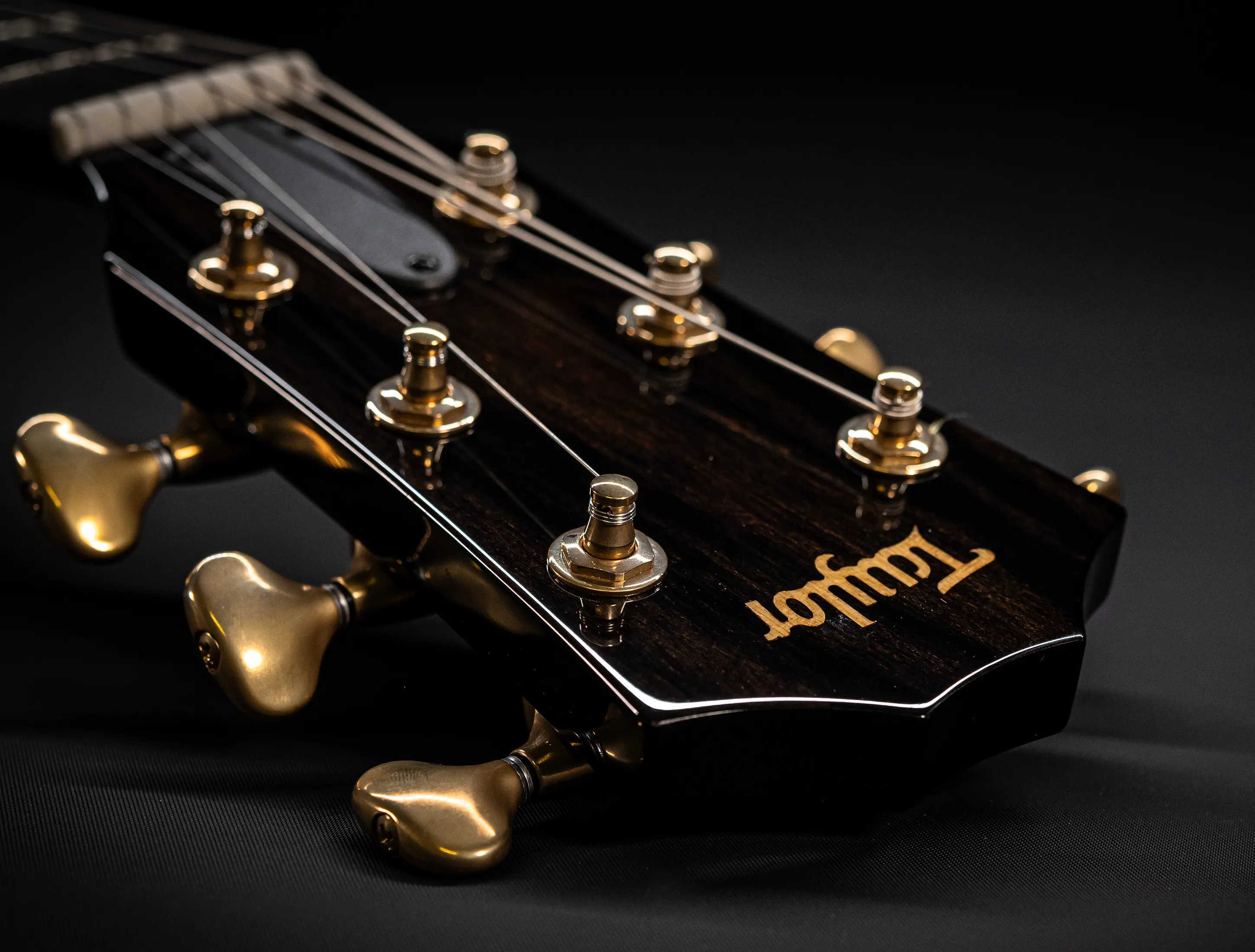 a174948 Taylor Custom T5z Boxwood Antique Blonde musikhaus-hermann