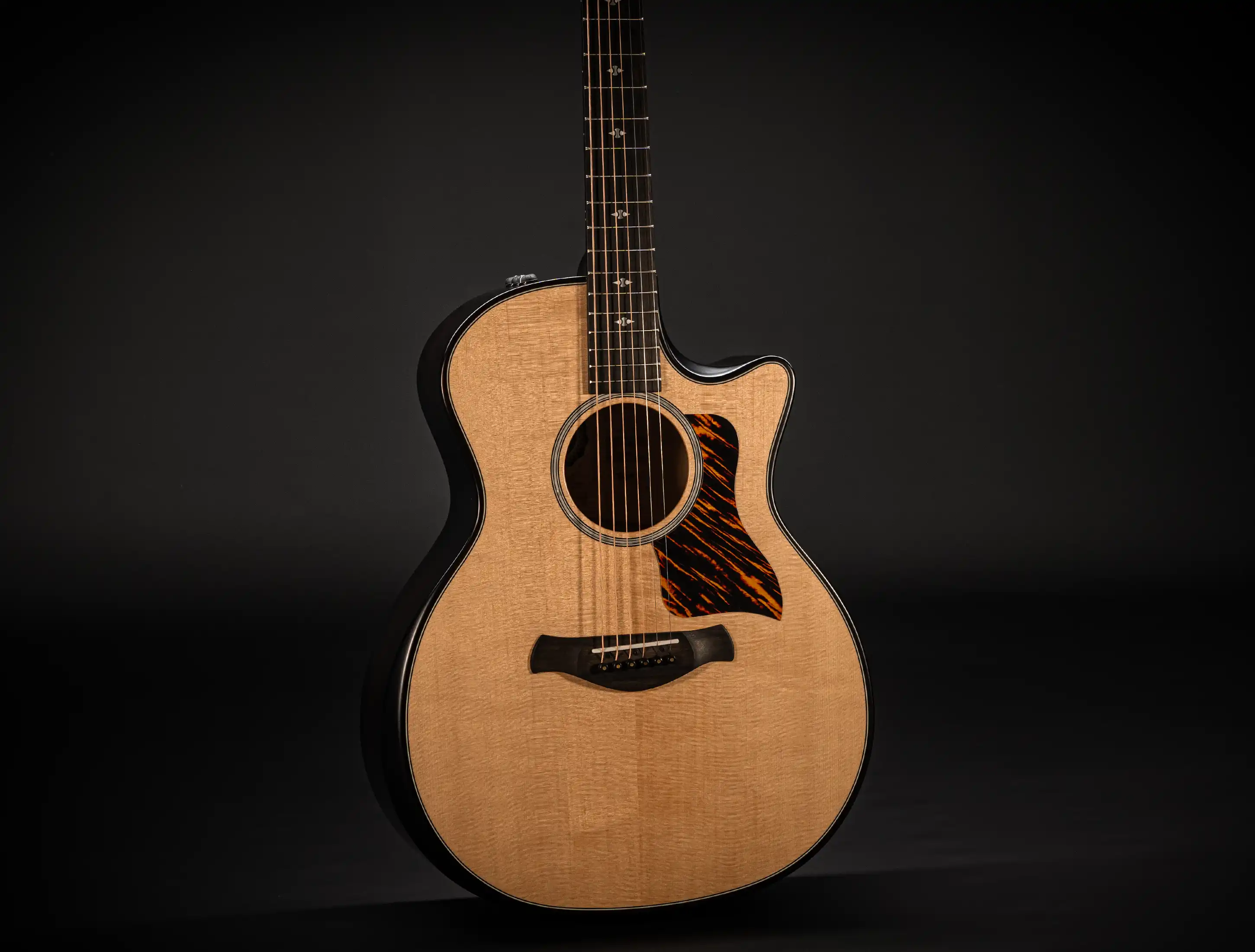 Taylor 314ce Builders Edition 50th Anniversary Limited Natural