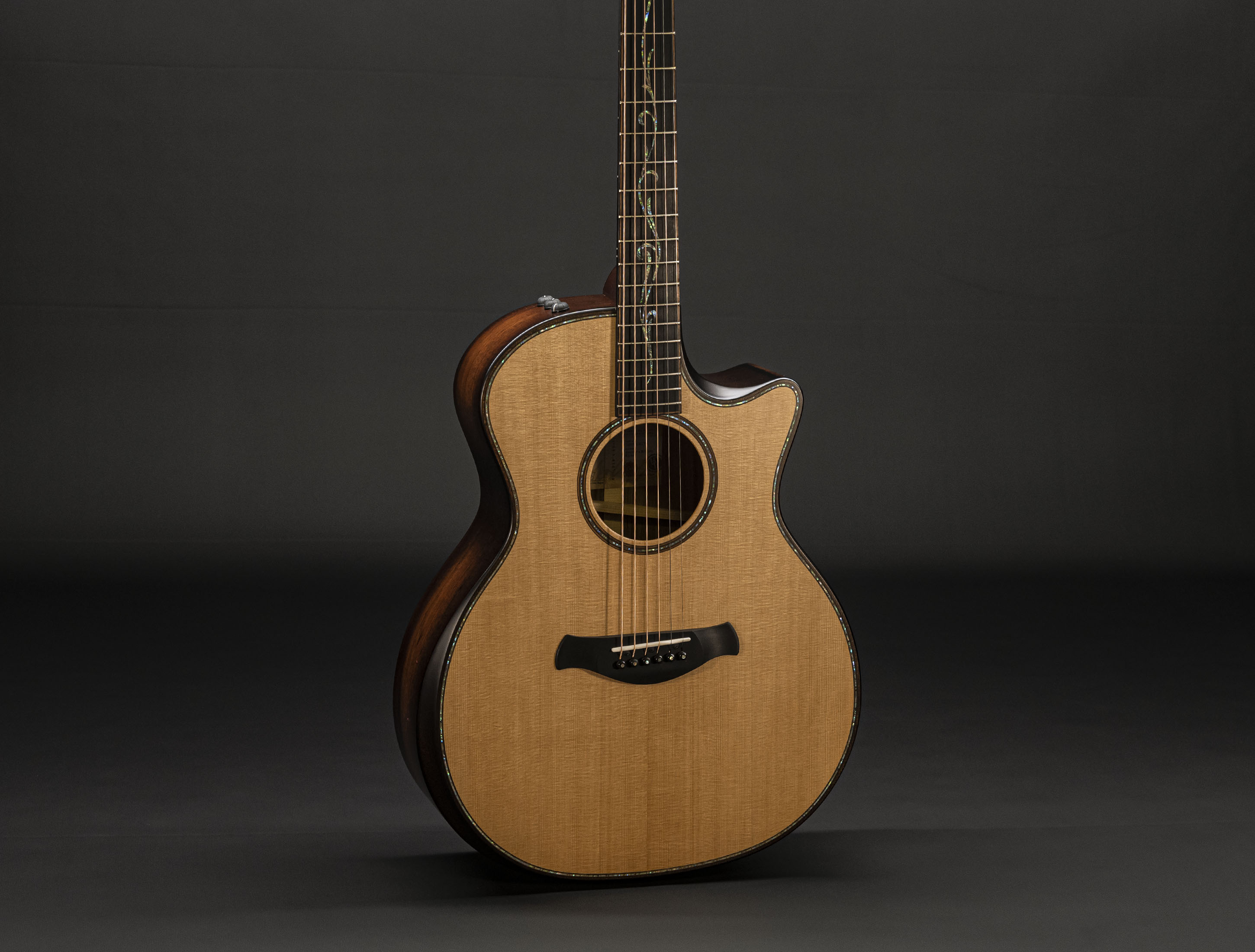 Taylor K14ce Builders Edition