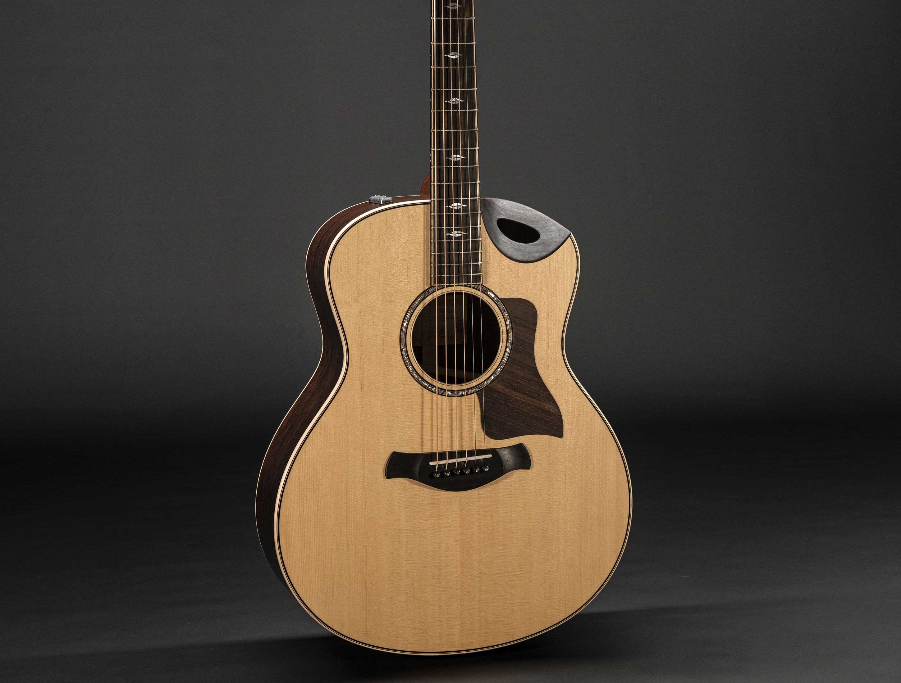 Taylor 816ce Builders Edition