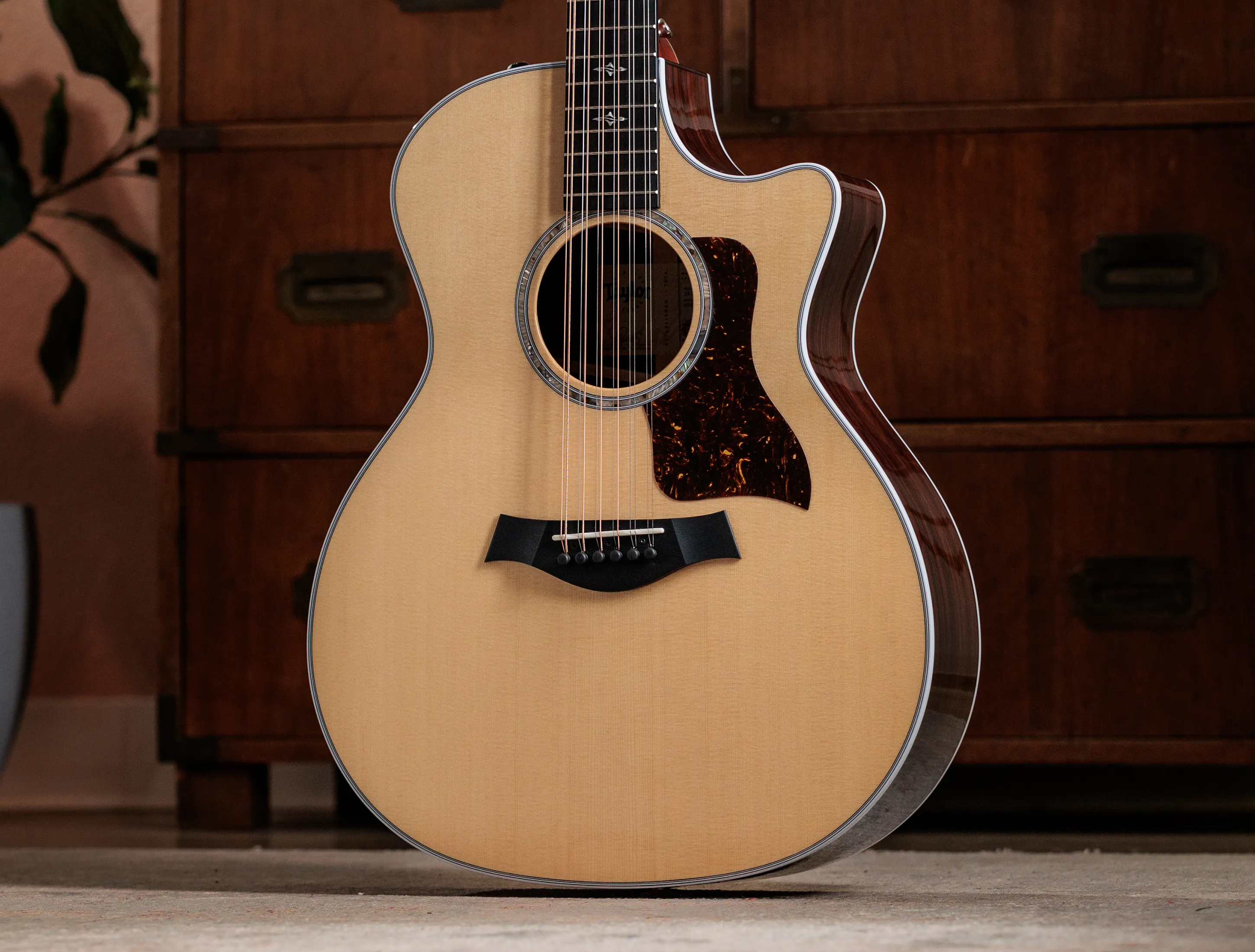 Taylor 454ce 12 Saitig