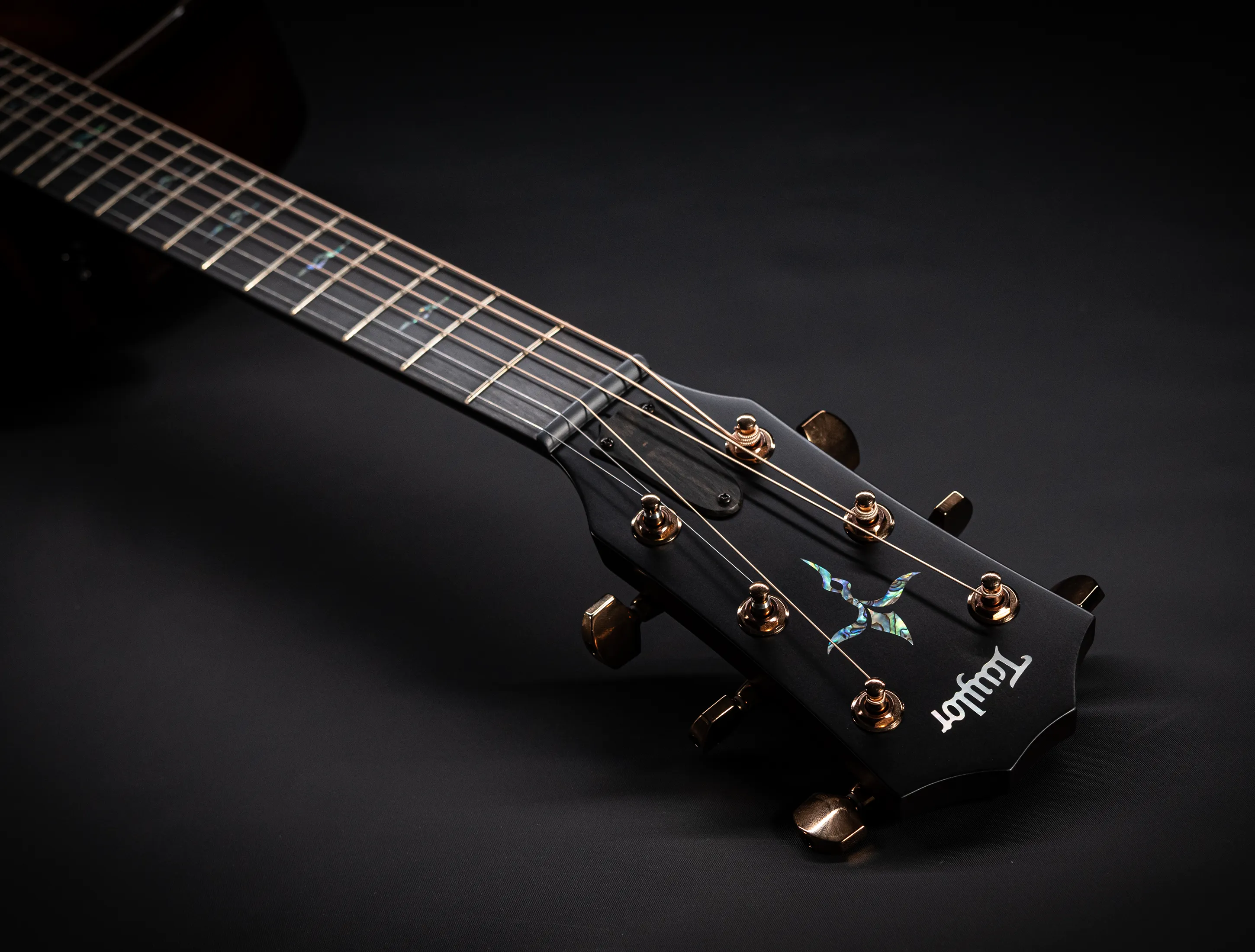 Taylor K24ce Koa Special Edition Next Generation