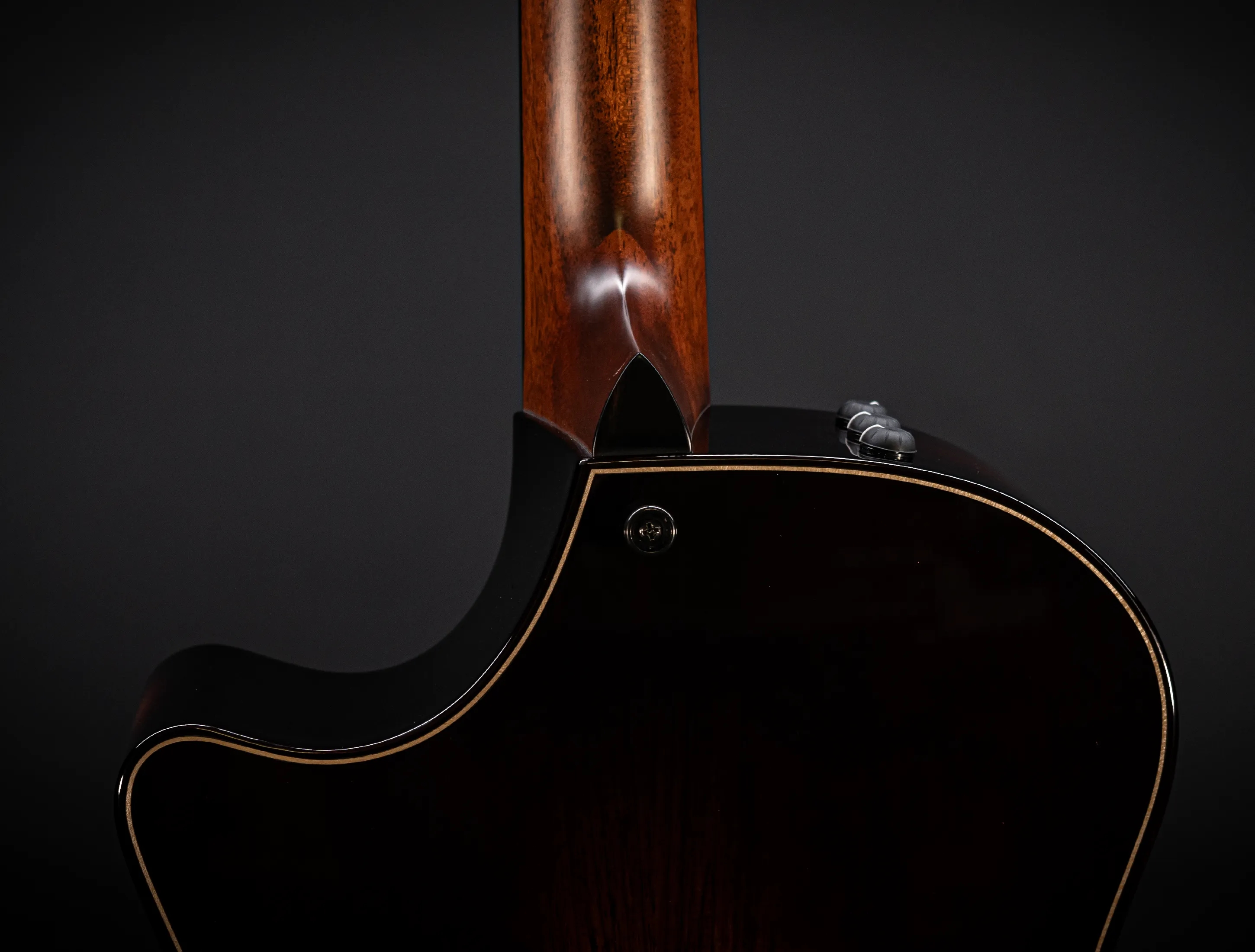 a171155 Taylor Builders Edition 814ce Honduras Palisander meets Sinker Redwood Musikhaus-Hermann