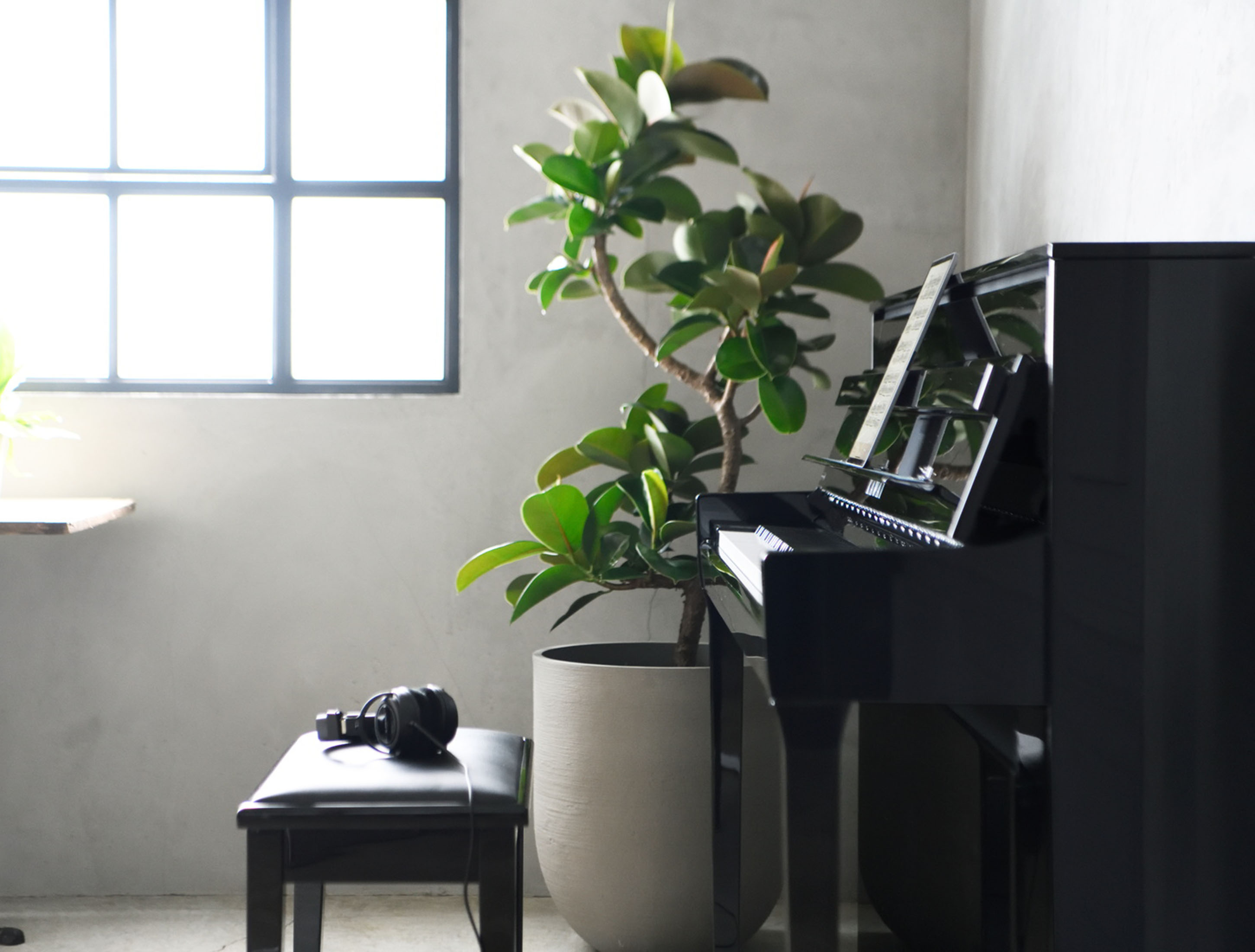 Show gallery (28 images) kawai-nv-5s-mh-007