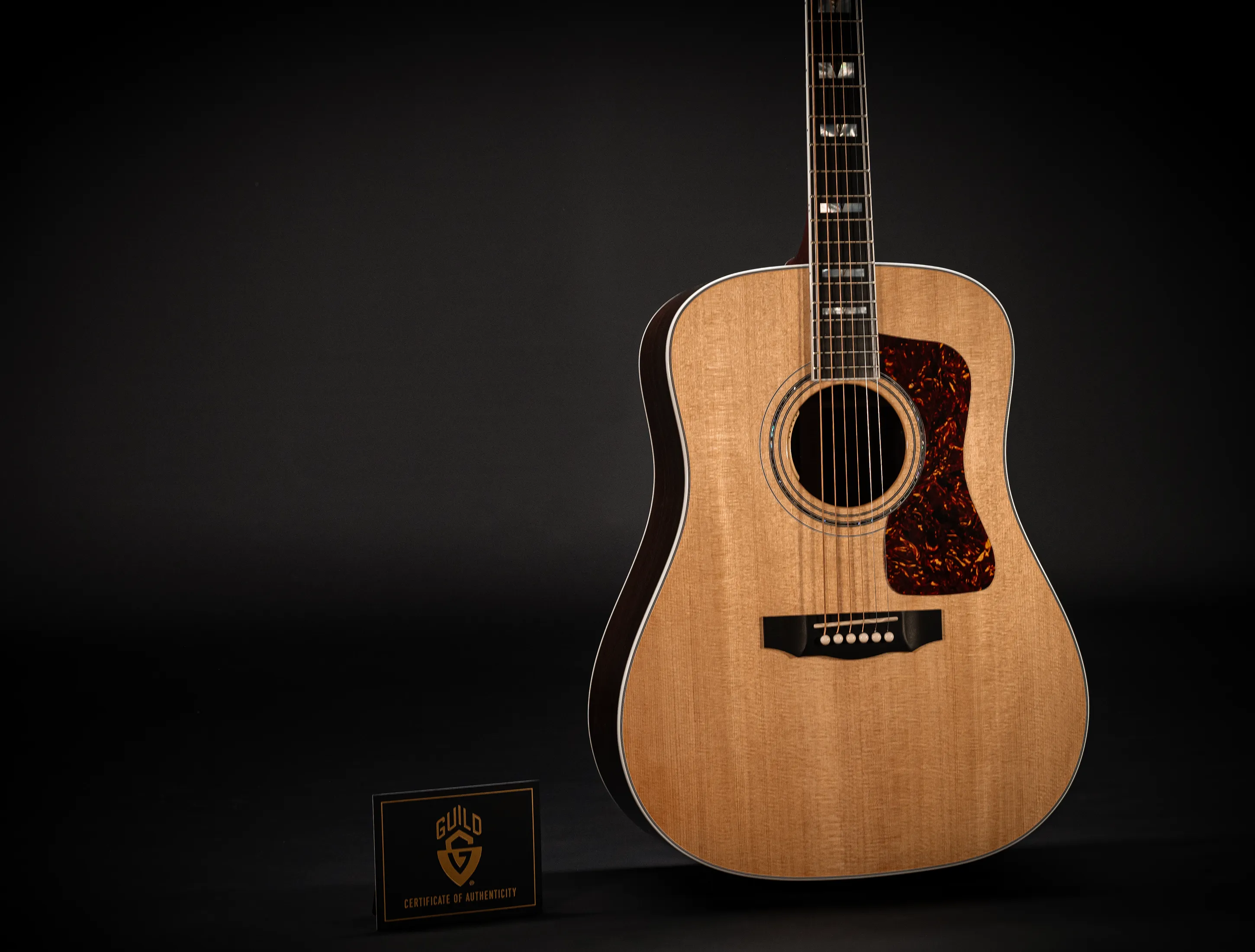 Guild D-55E Natural L.R.Baggs USA