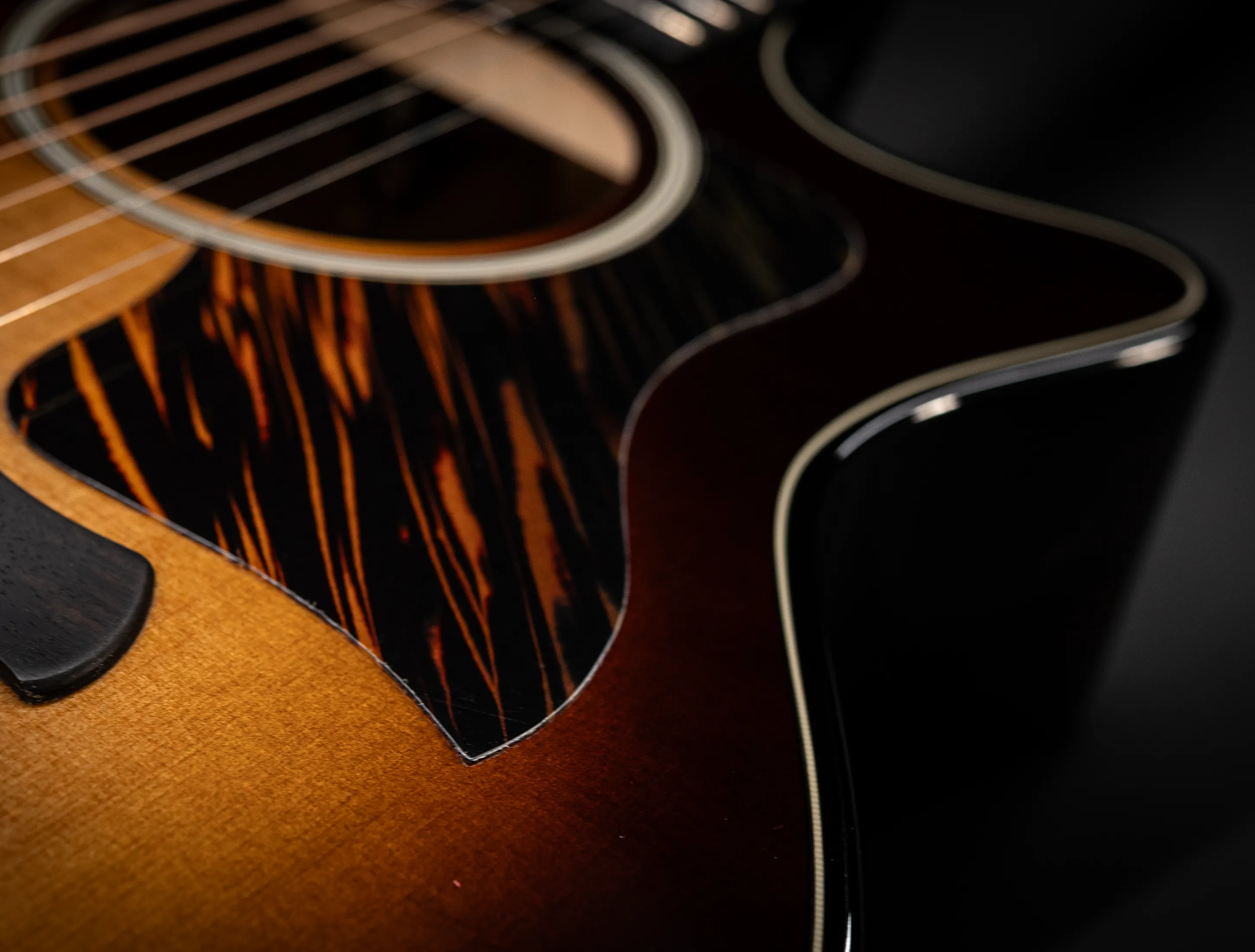 a174183 Taylor 514ce Builders-Edition Kona Burst musikhaus-hermann