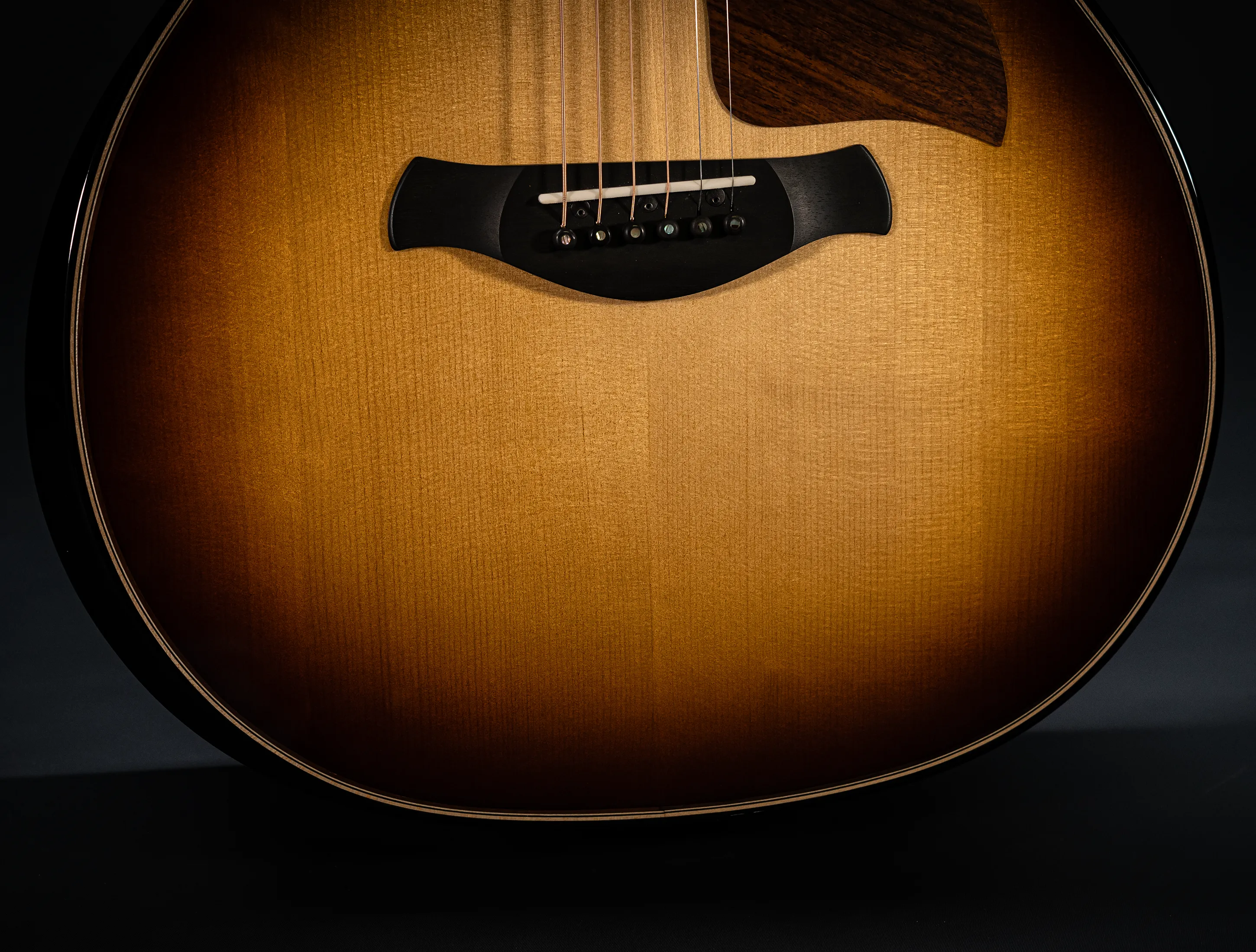 a171185 Taylor Builders Edition 814ce Honduras Palisander meets Adirondack Musikhaus-Hermann