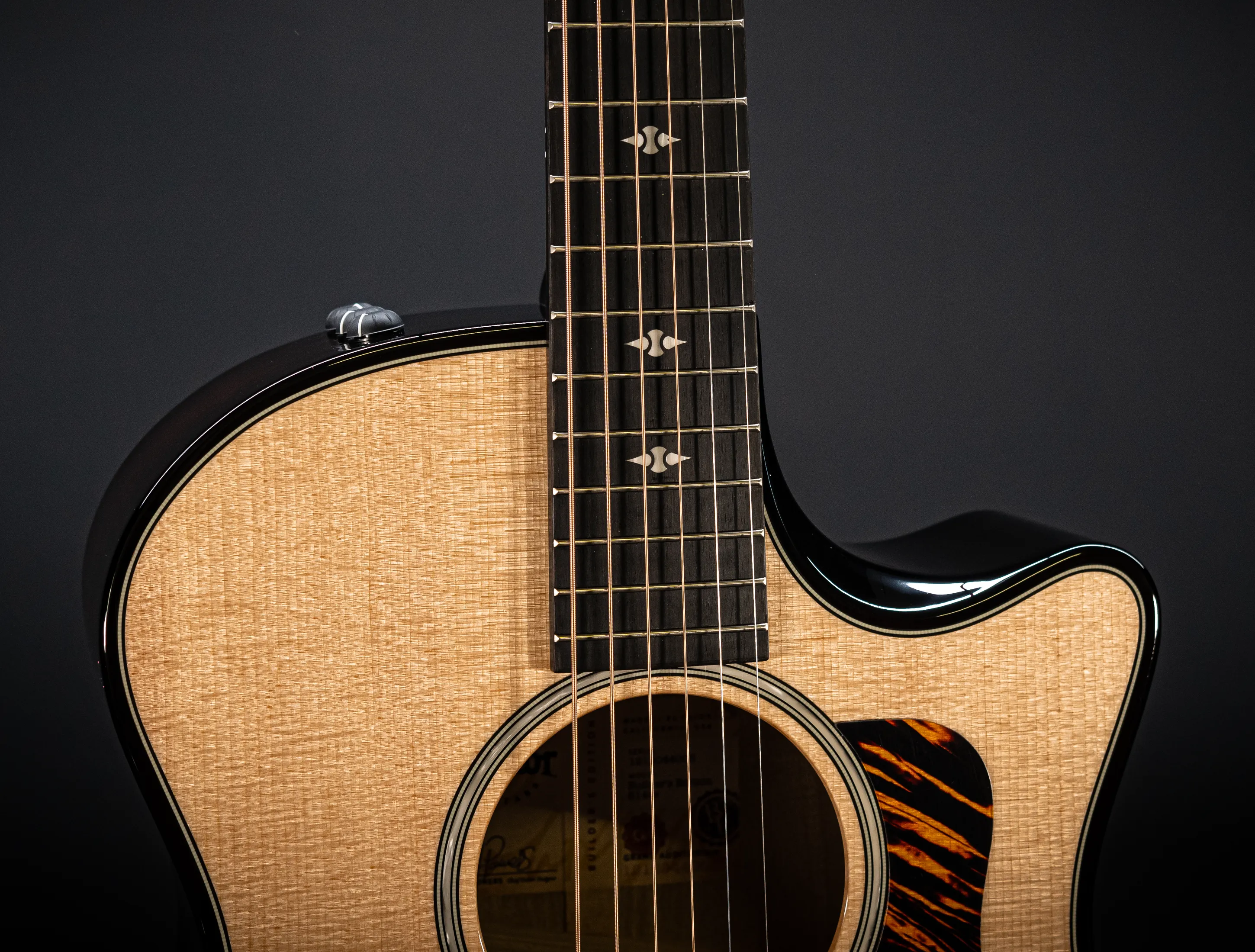 a174174 Taylor 514ce Builders Edition Natural musikhaus-hermann