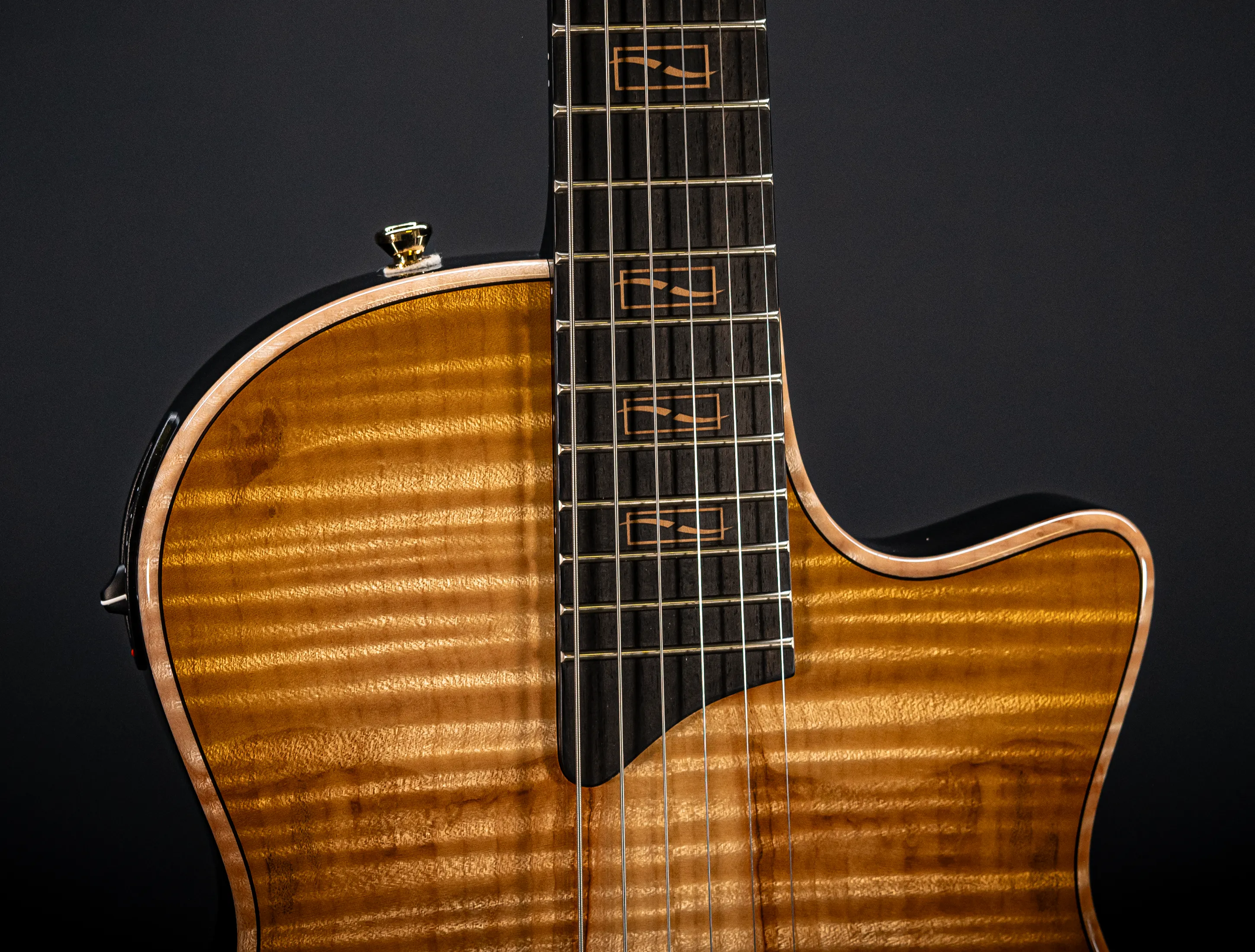 a174954 Taylor Custom T5z Boxwood Antique Blonde musikhaus-hermann