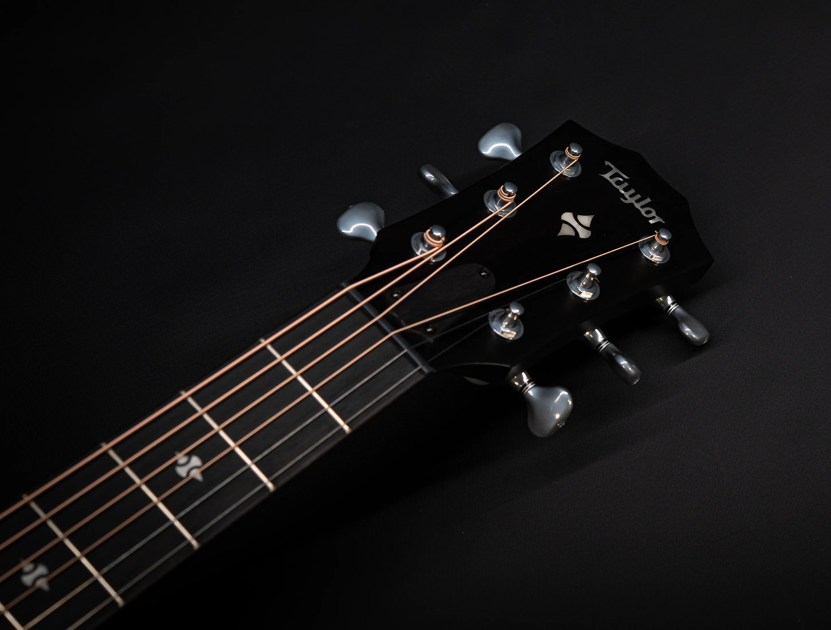 a174155 Taylor 514ce Builders Edition Natural musikhaus-hermann