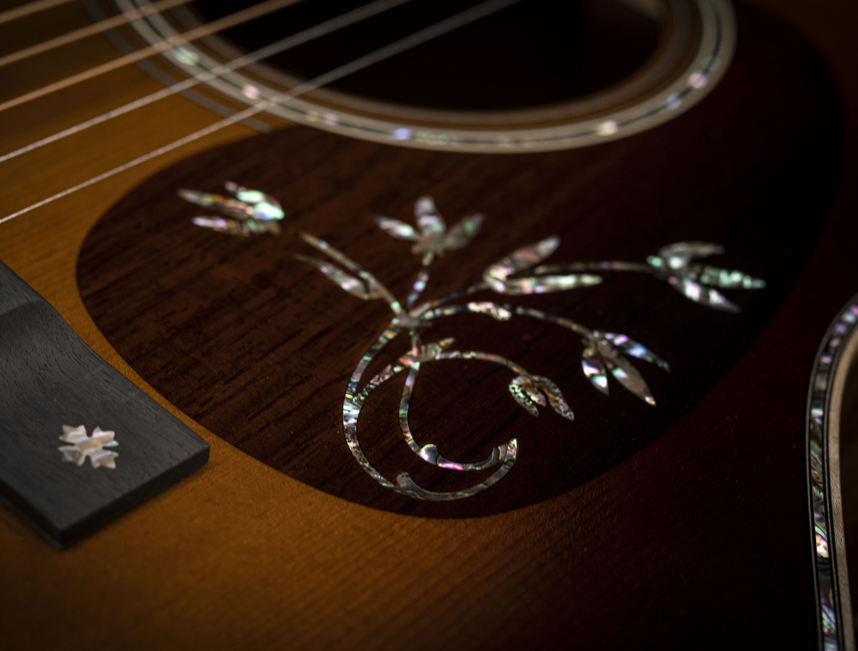 a14 Musikhaus-Hermann 3838-CEO-10-Guatemalan-Rosewood-limited-16-of-100