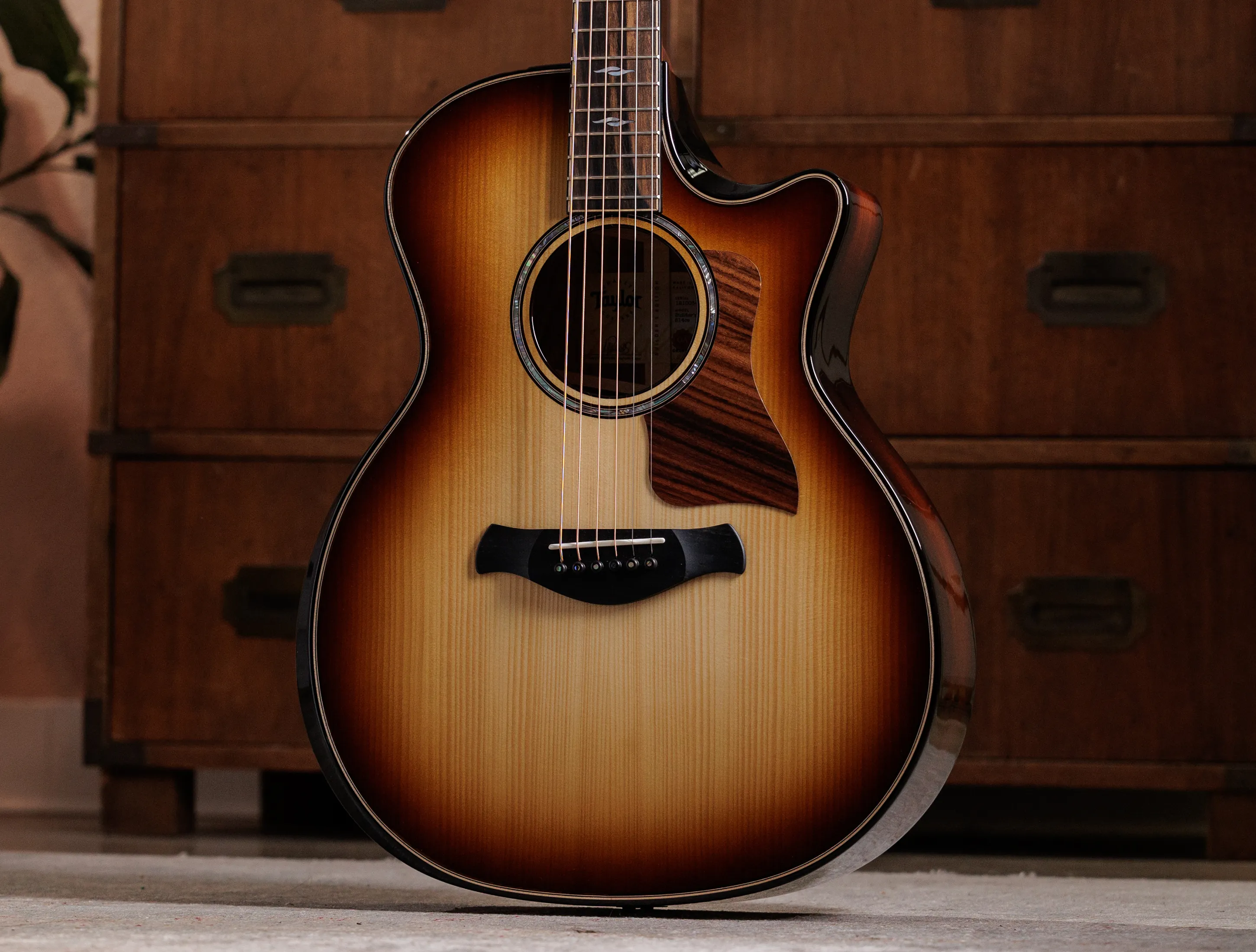 Taylor Builder's Edition 814ce Honduras Palisander meets Adirondack Next Generation