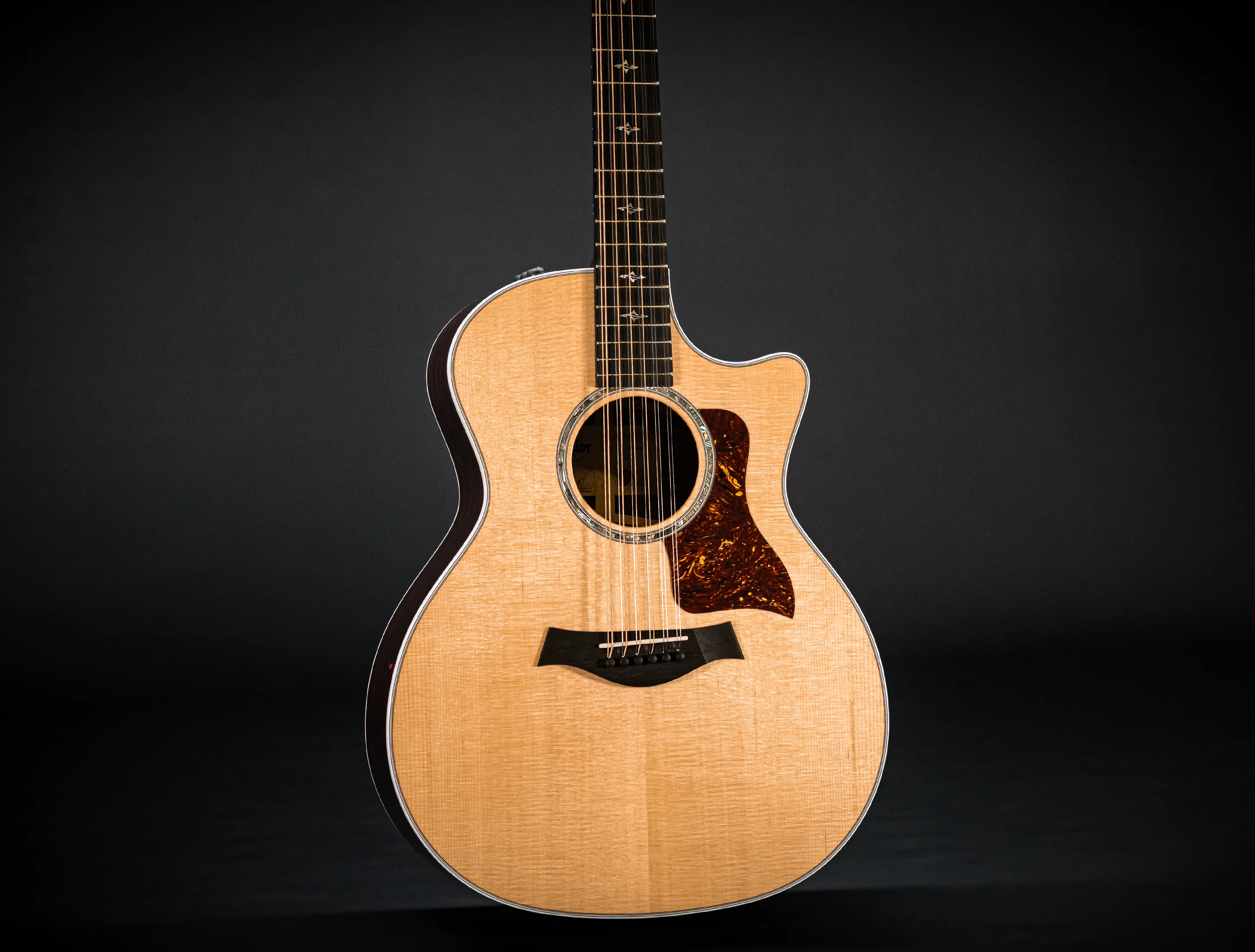 Taylor 454ce 12 Saitig