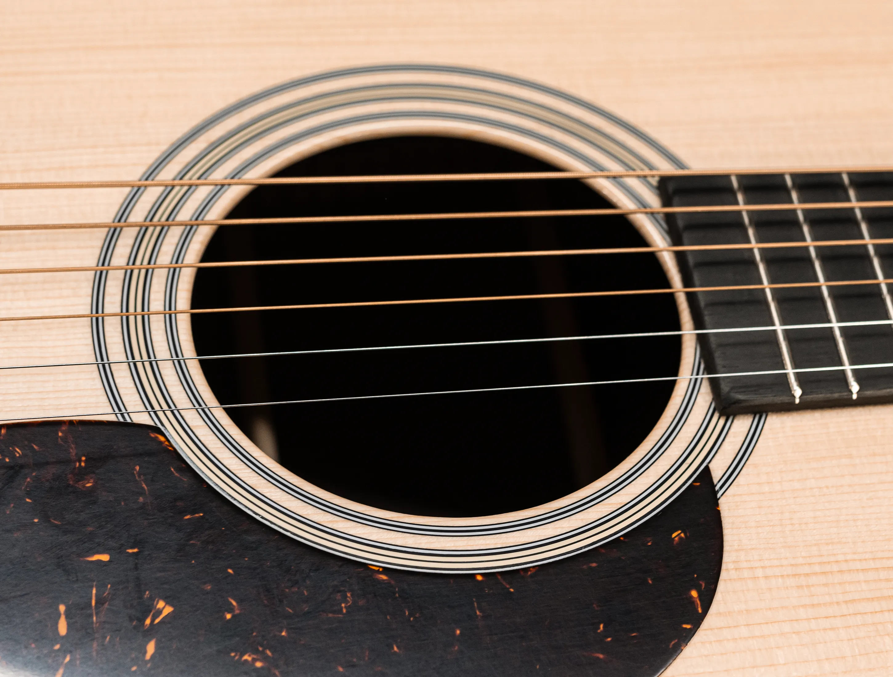 Show gallery (24 images)