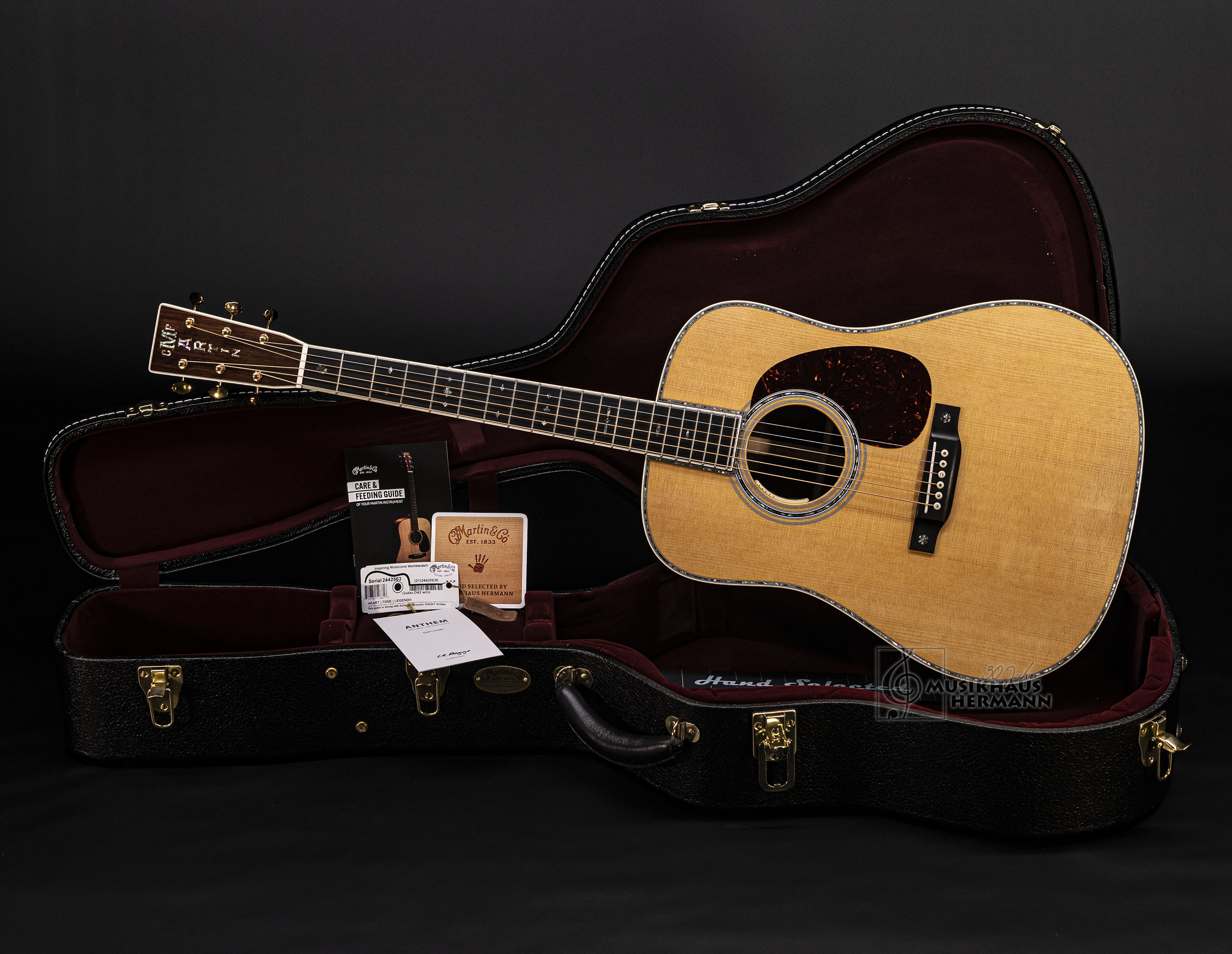 Martin D-42 E (Reimagined) L.R. Baggs Anthem PickUp