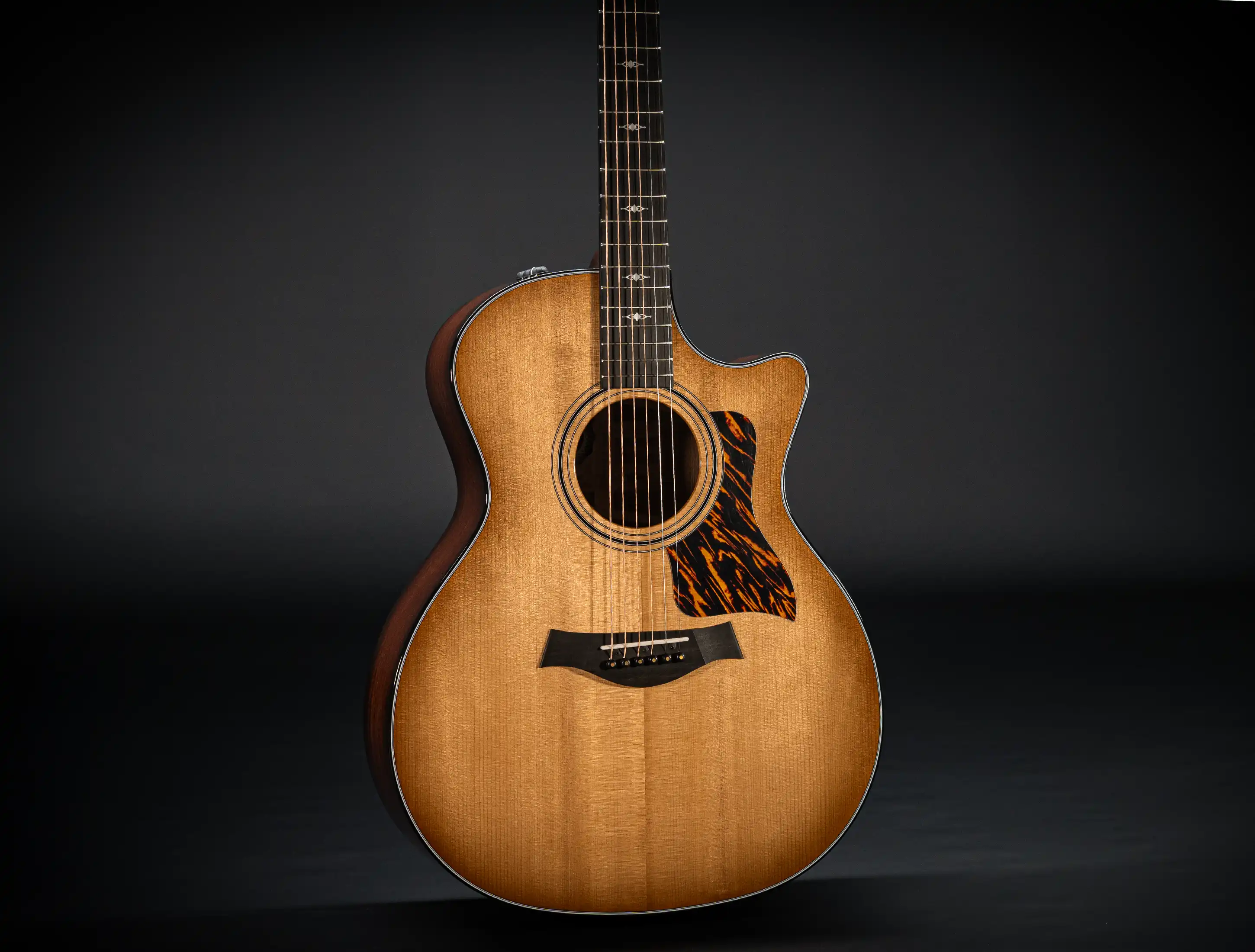 Taylor 314ce 50th Anniversary Limited