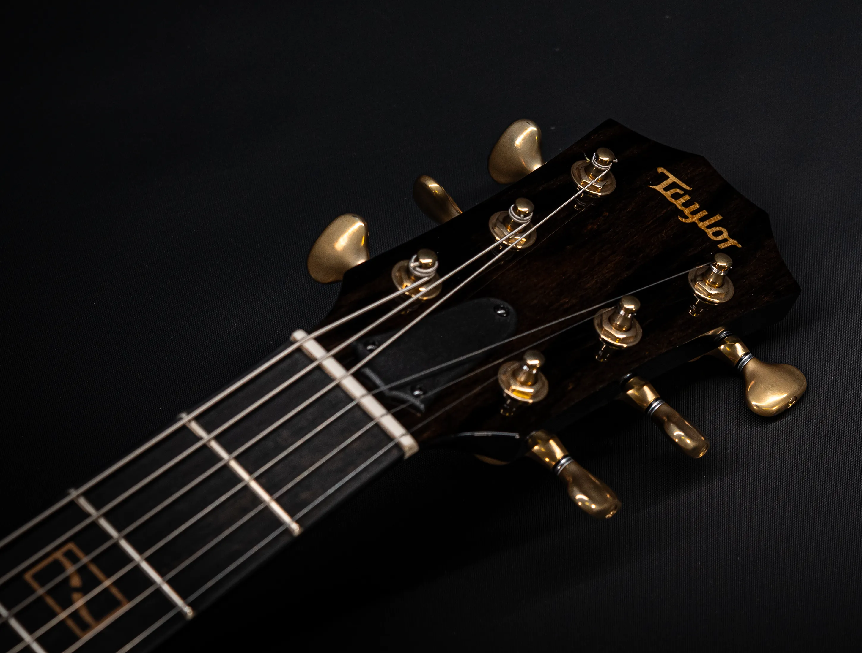 a174935 Taylor Custom T5z Boxwood Antique Blonde musikhaus-hermann