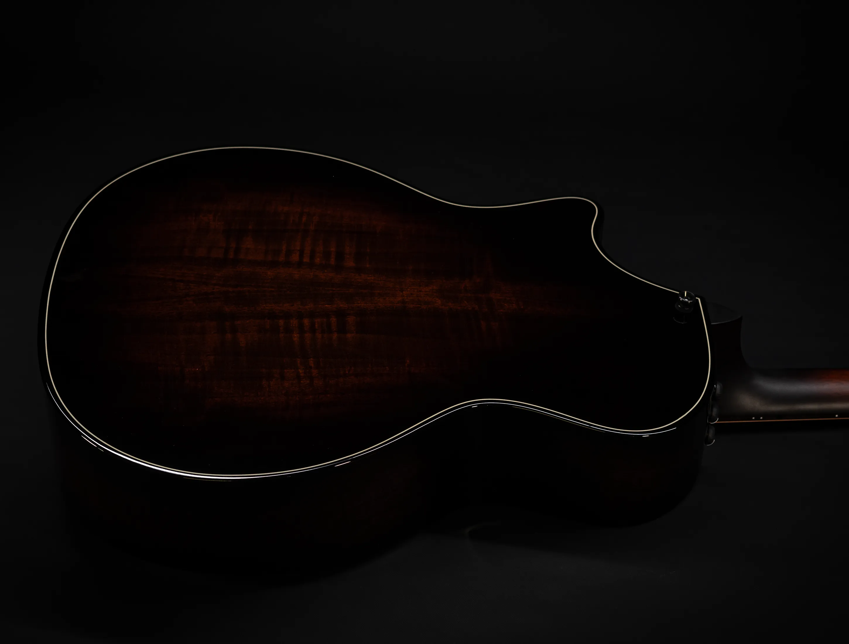 a174158 Taylor 514ce Builders Edition Natural musikhaus-hermann