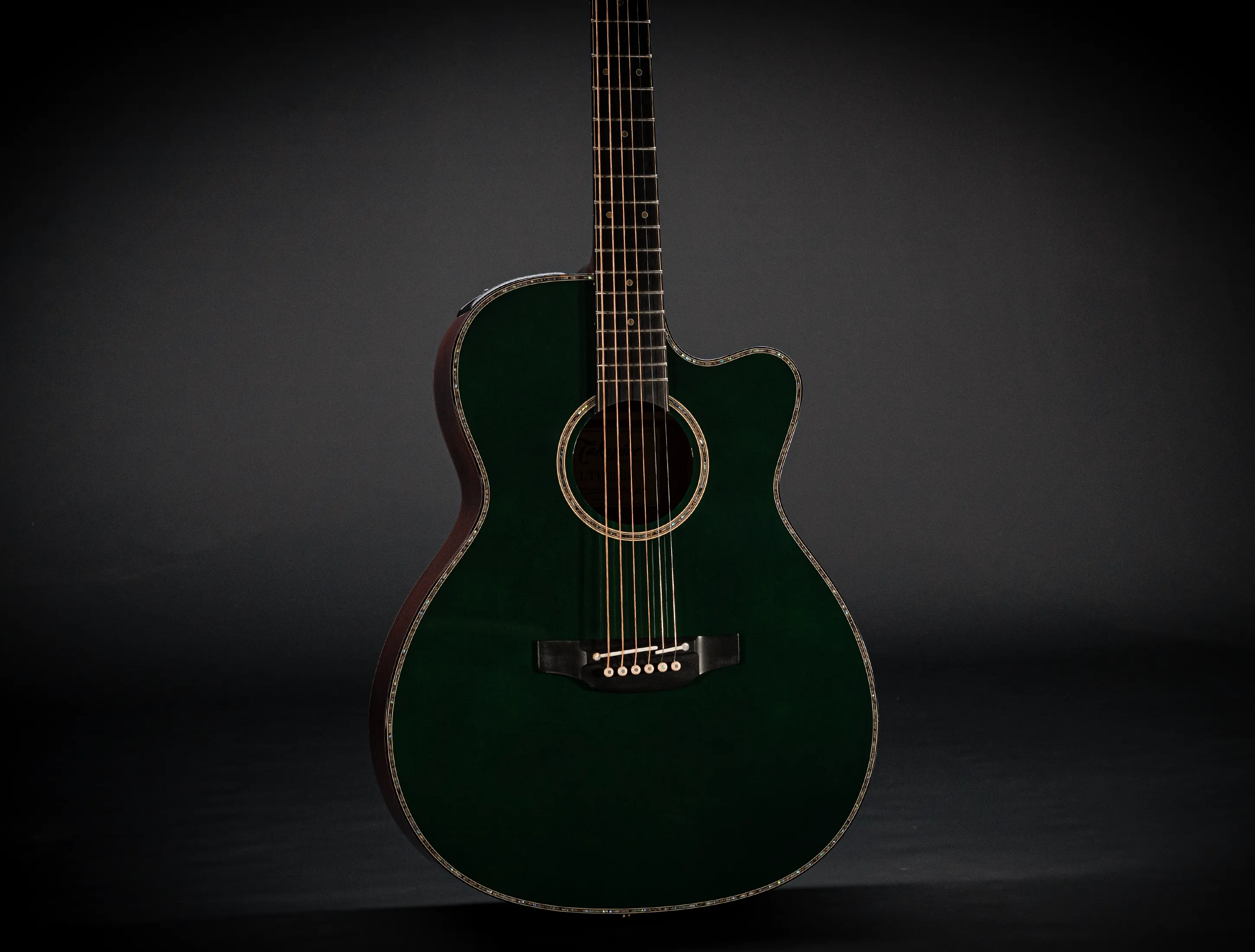 Takamine LTD 2025