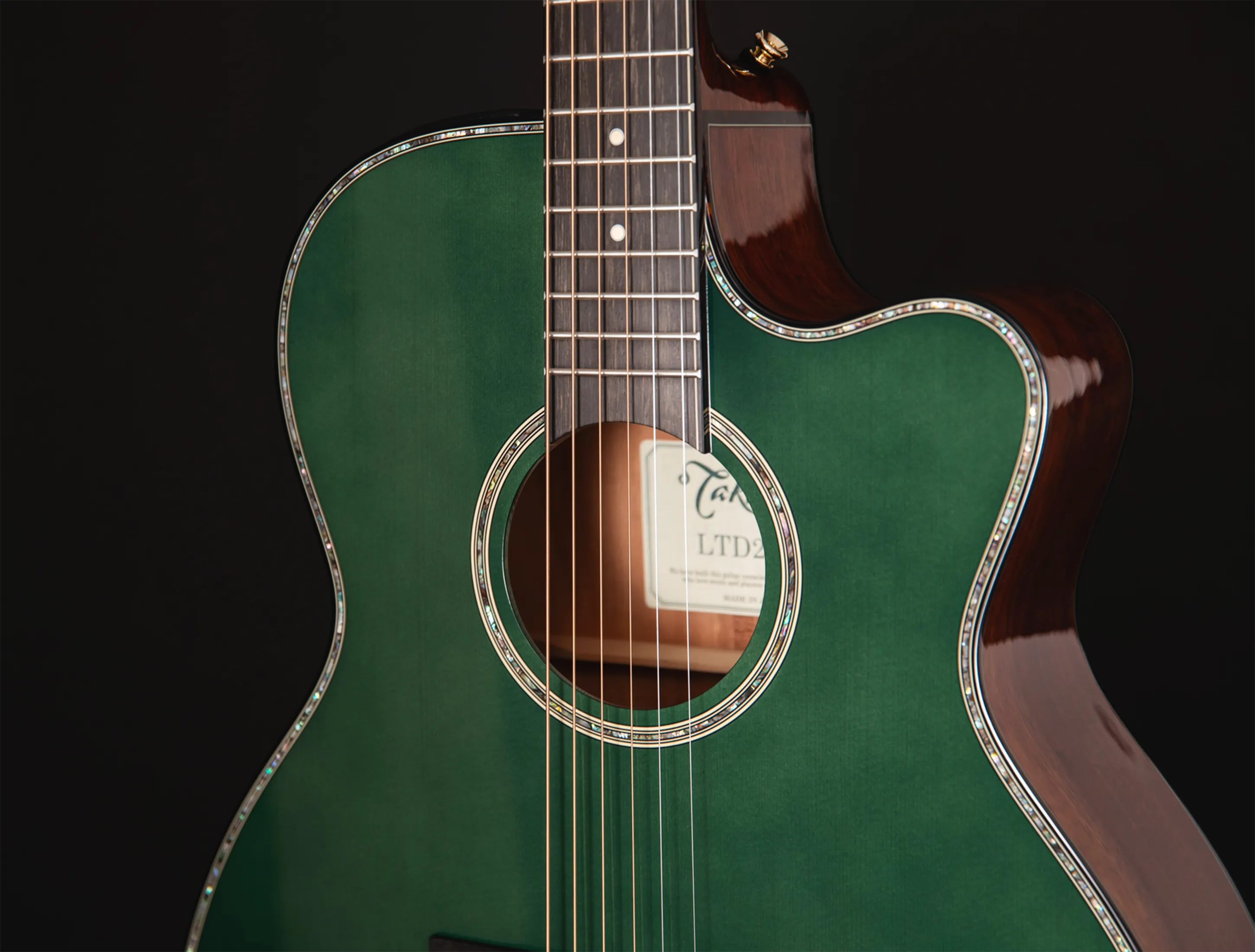 Takamine LTD 2025