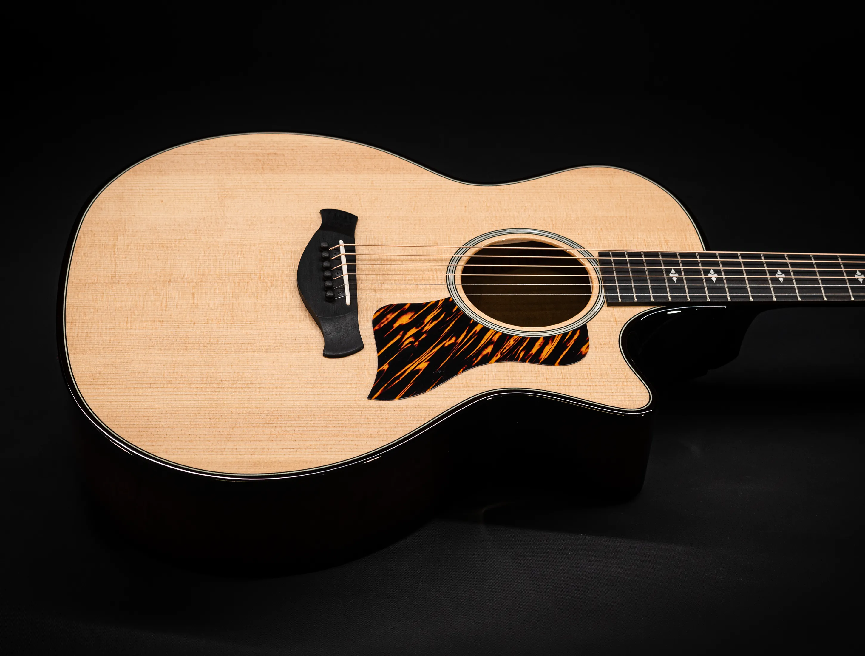 a174145 Taylor 514ce Builders Edition Natural musikhaus-hermann