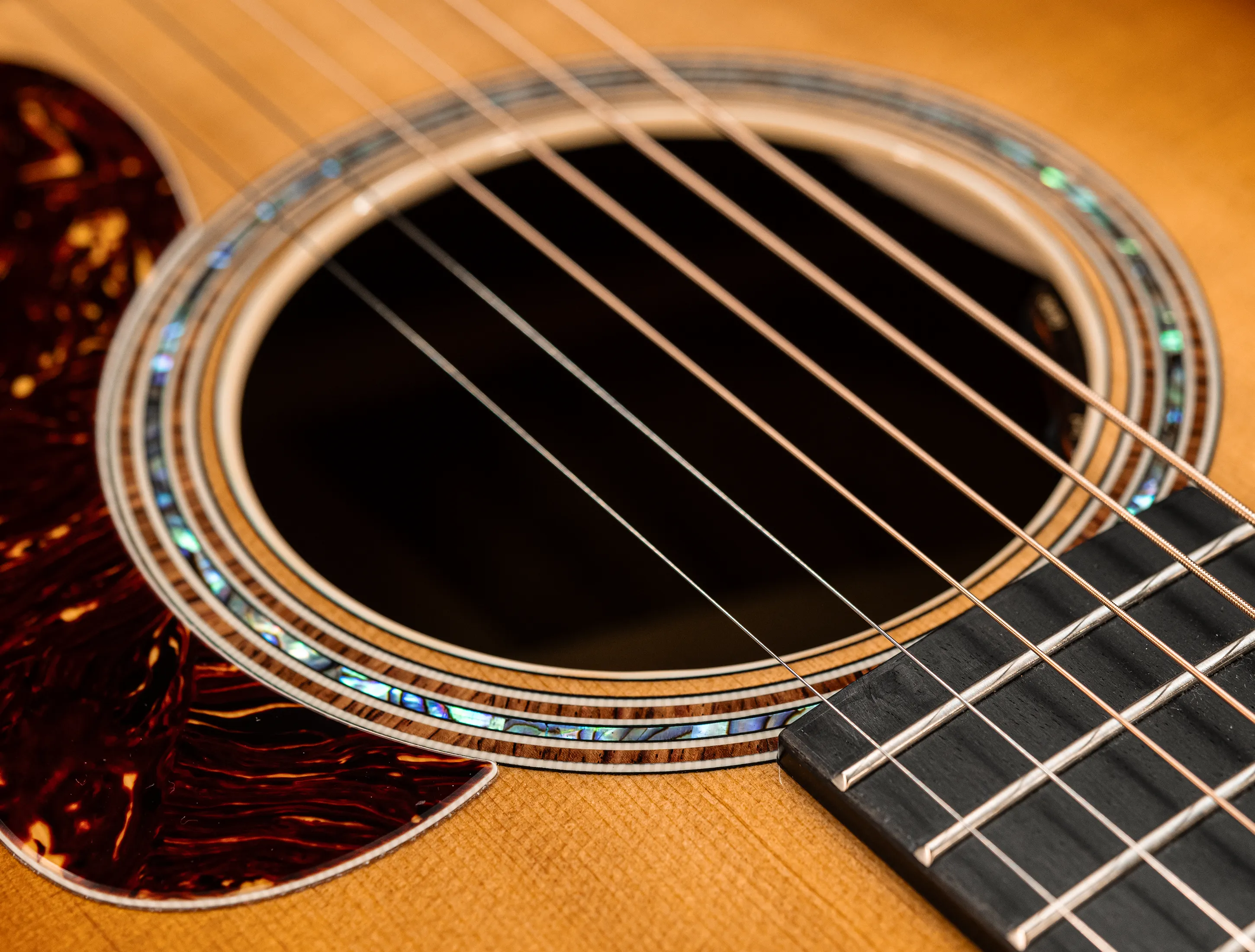 a172071 Taylor Gold Label 814e Koa Sunburst Top - Musikhaus Hermann