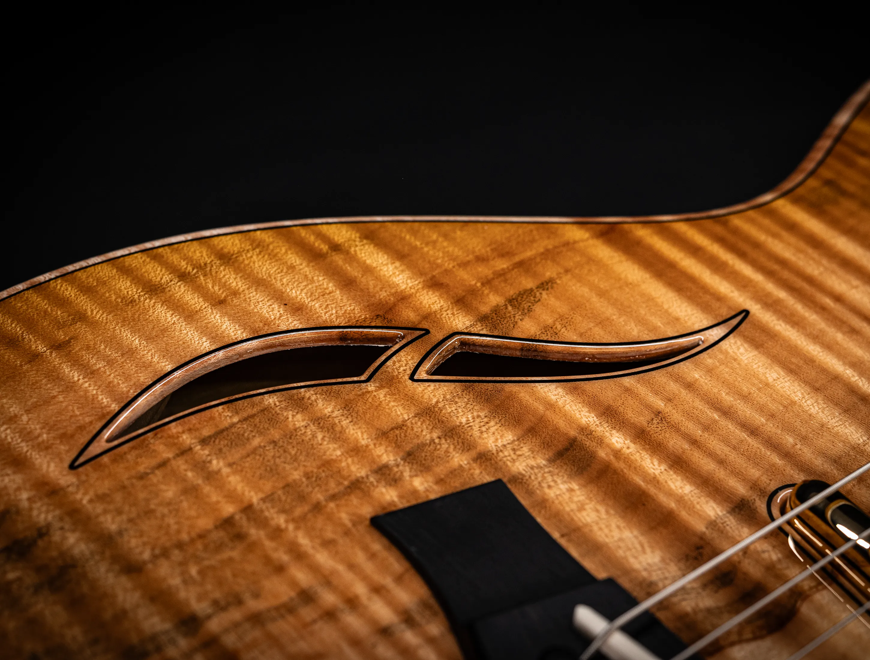 a174929 Taylor Custom T5z Boxwood Antique Blonde musikhaus-hermann