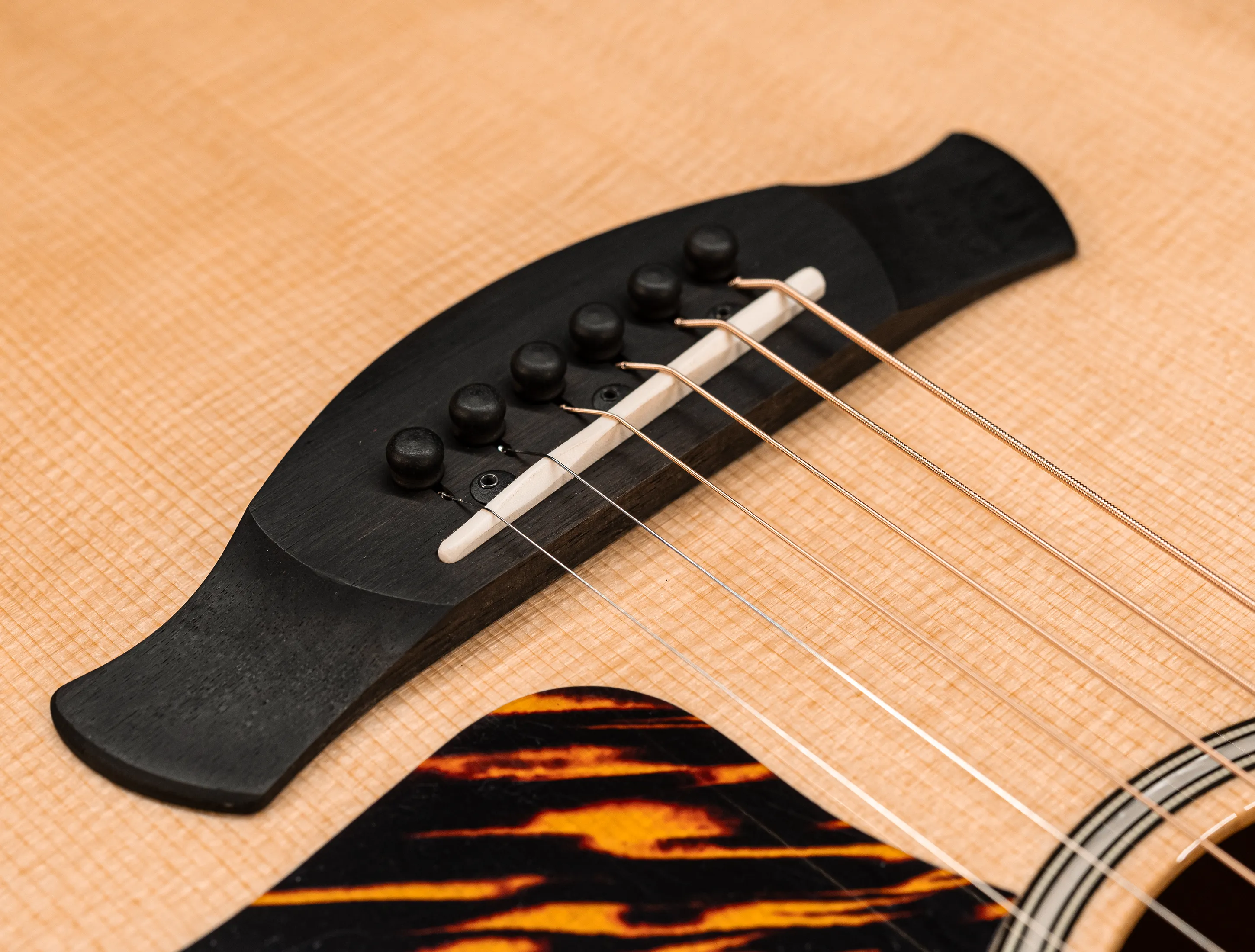 a174165 Taylor 514ce Builders Edition Natural musikhaus-hermann
