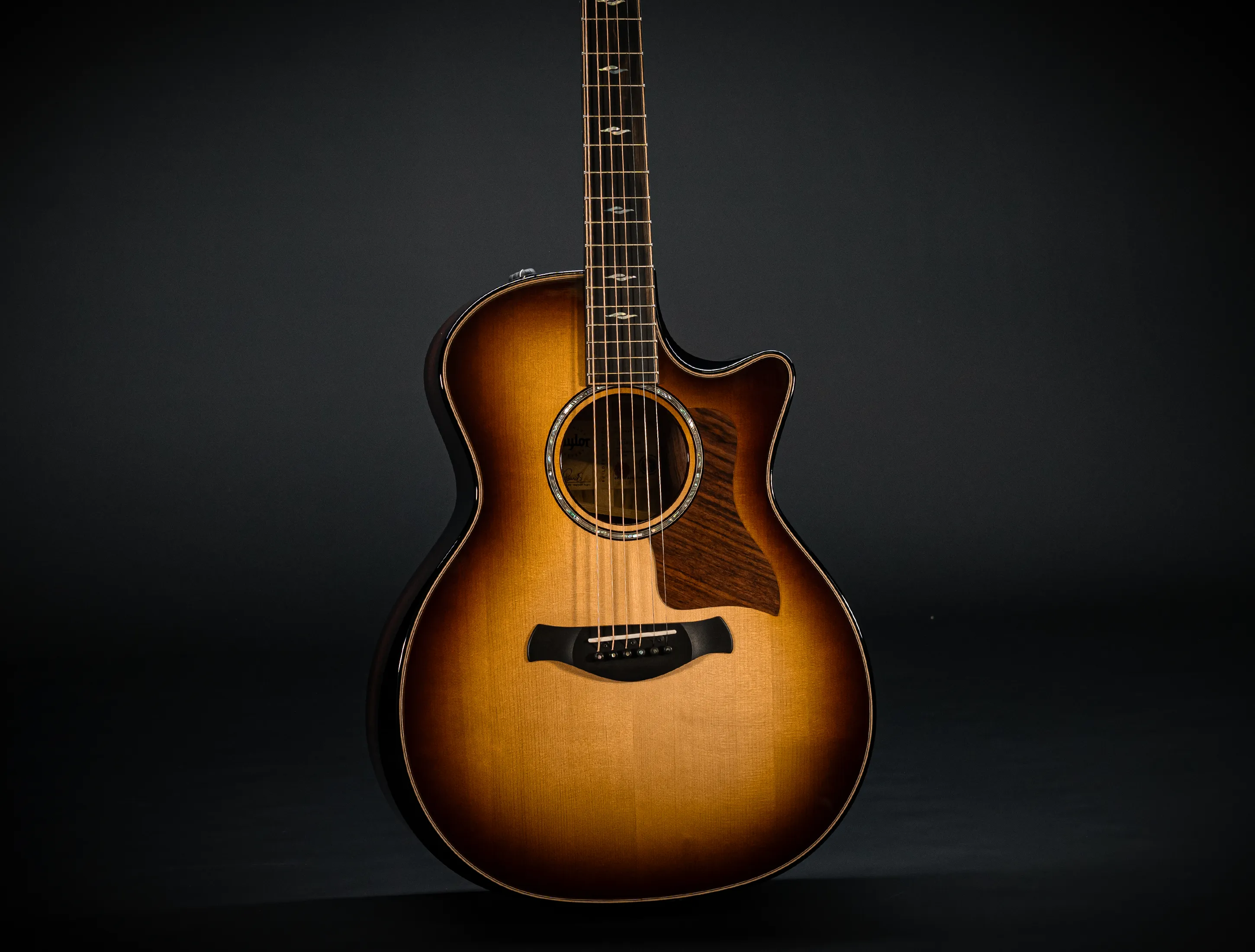 Taylor Builder´s Edition 814ce Honduras Palisander meets Adirondack
