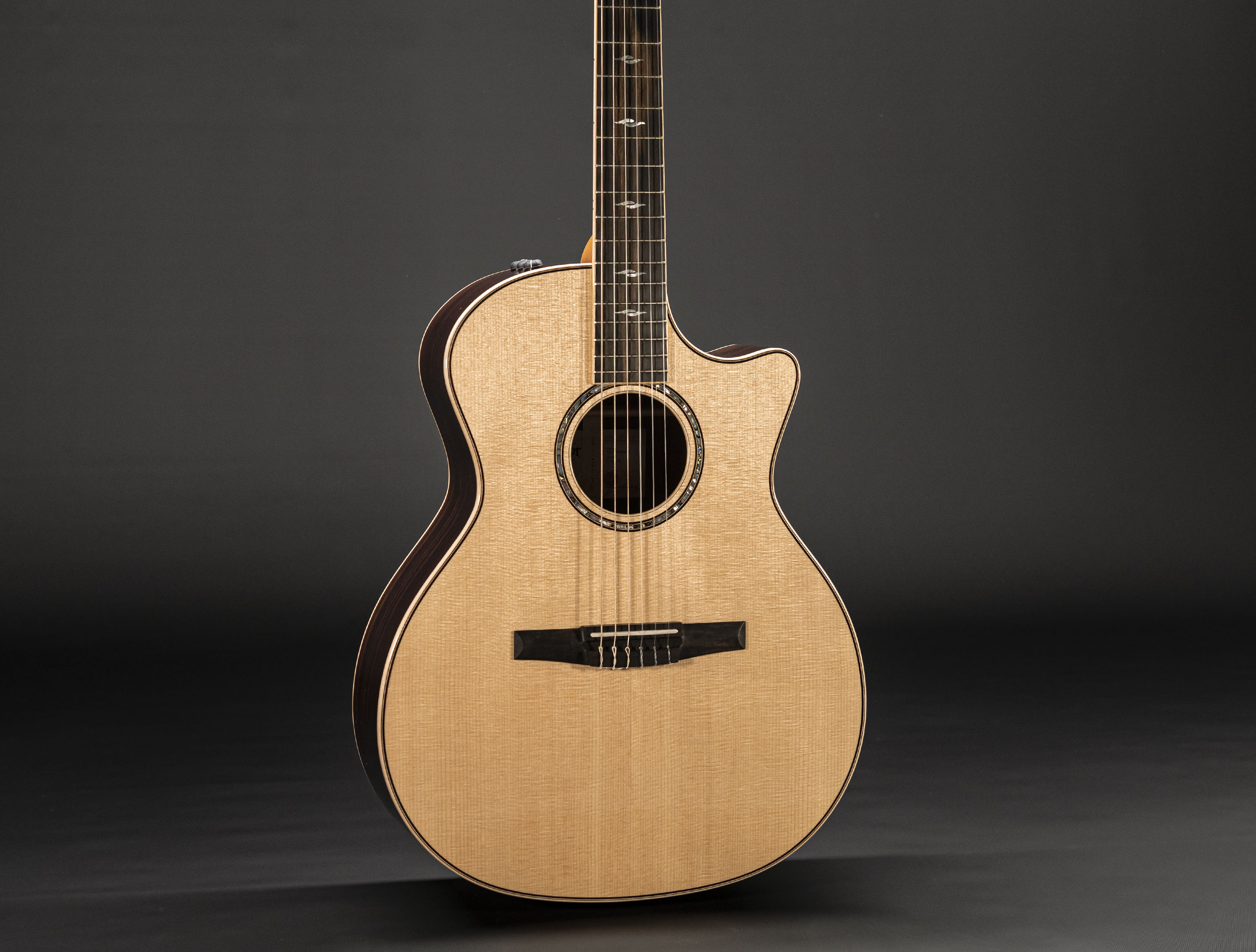 Taylor 814ce-N Nylon