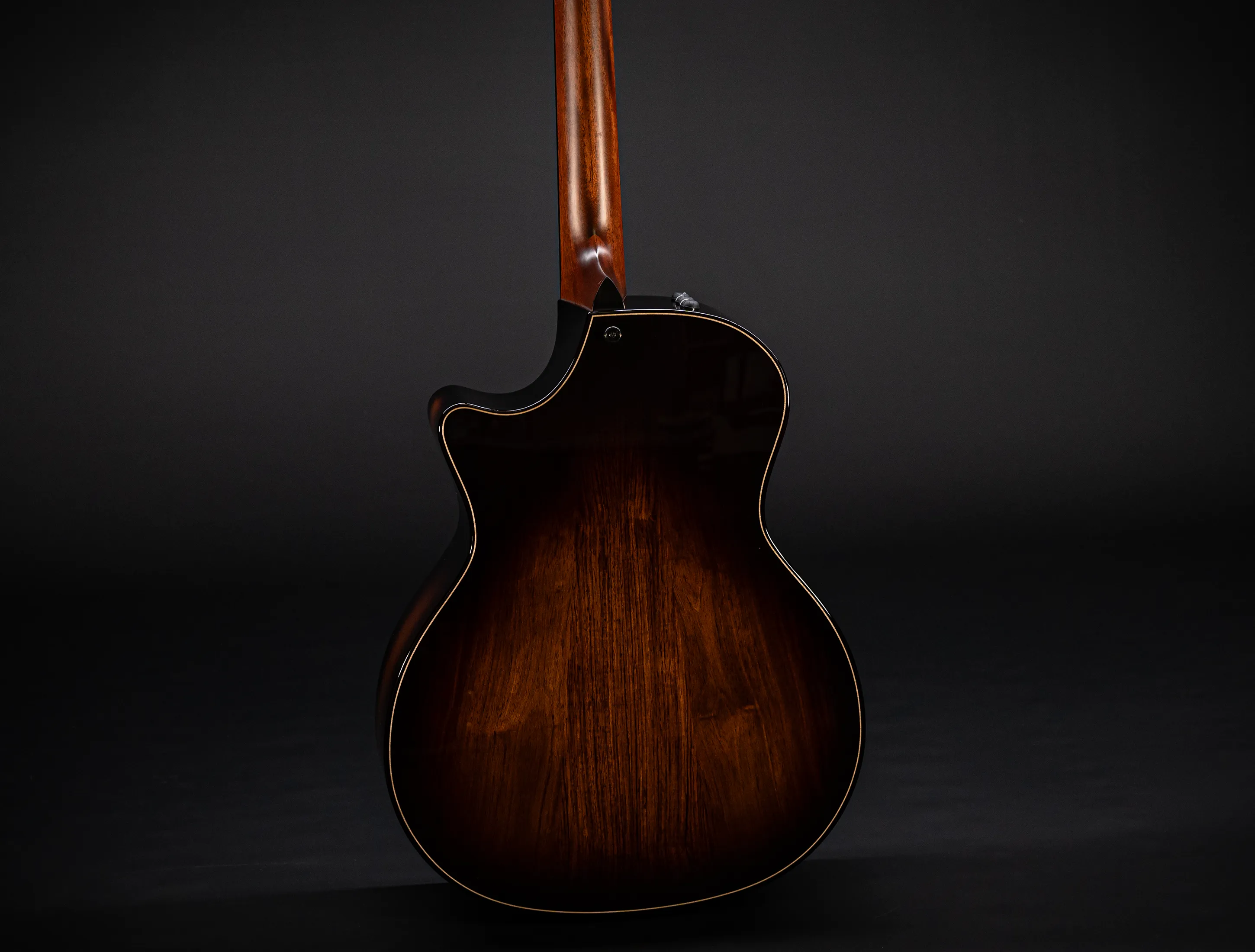 a171154 Taylor Builders Edition 814ce Honduras Palisander meets Sinker Redwood Musikhaus-Hermann