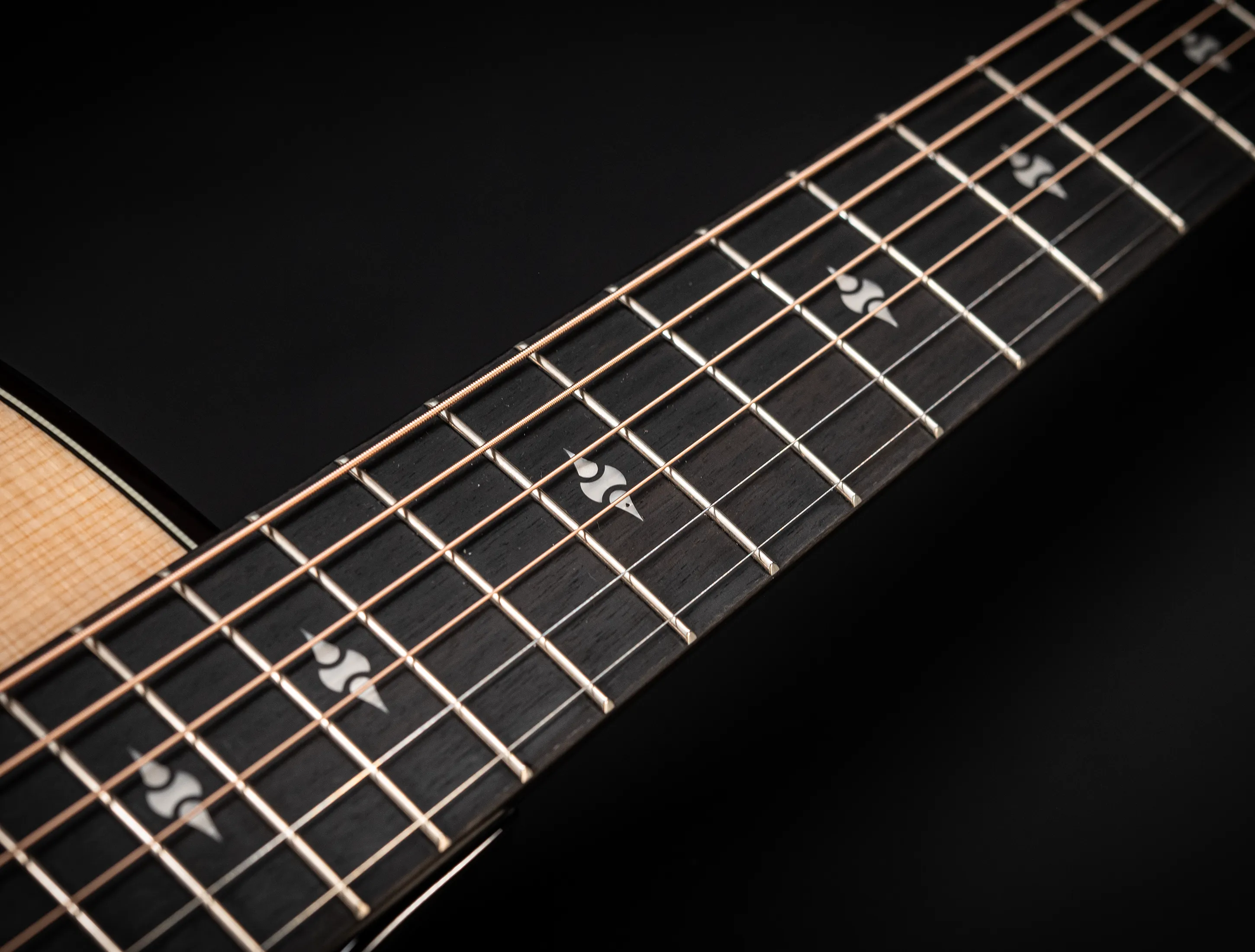 a174153 Taylor 514ce Builders Edition Natural musikhaus-hermann