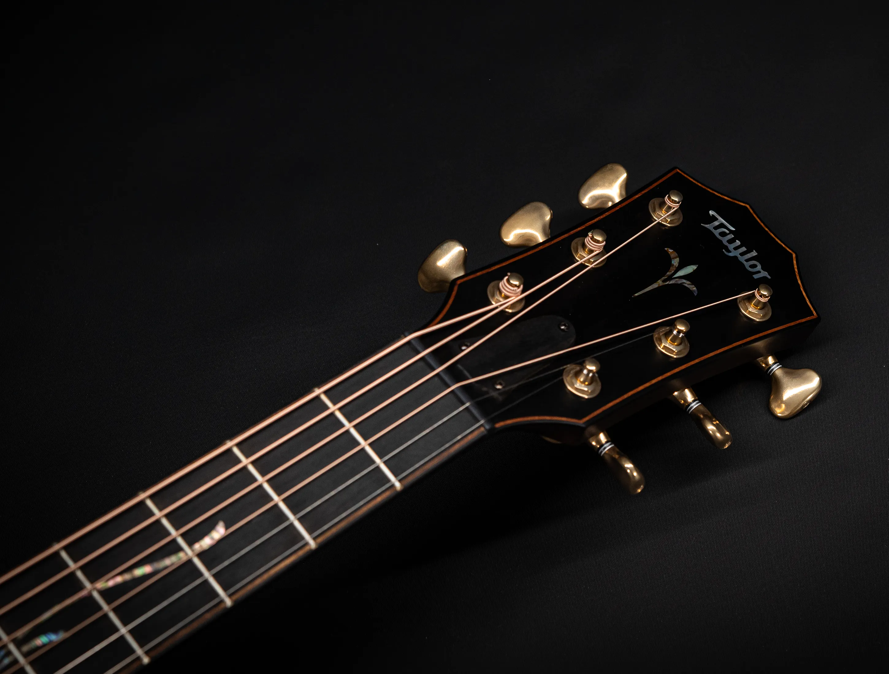 Show gallery (29 images)