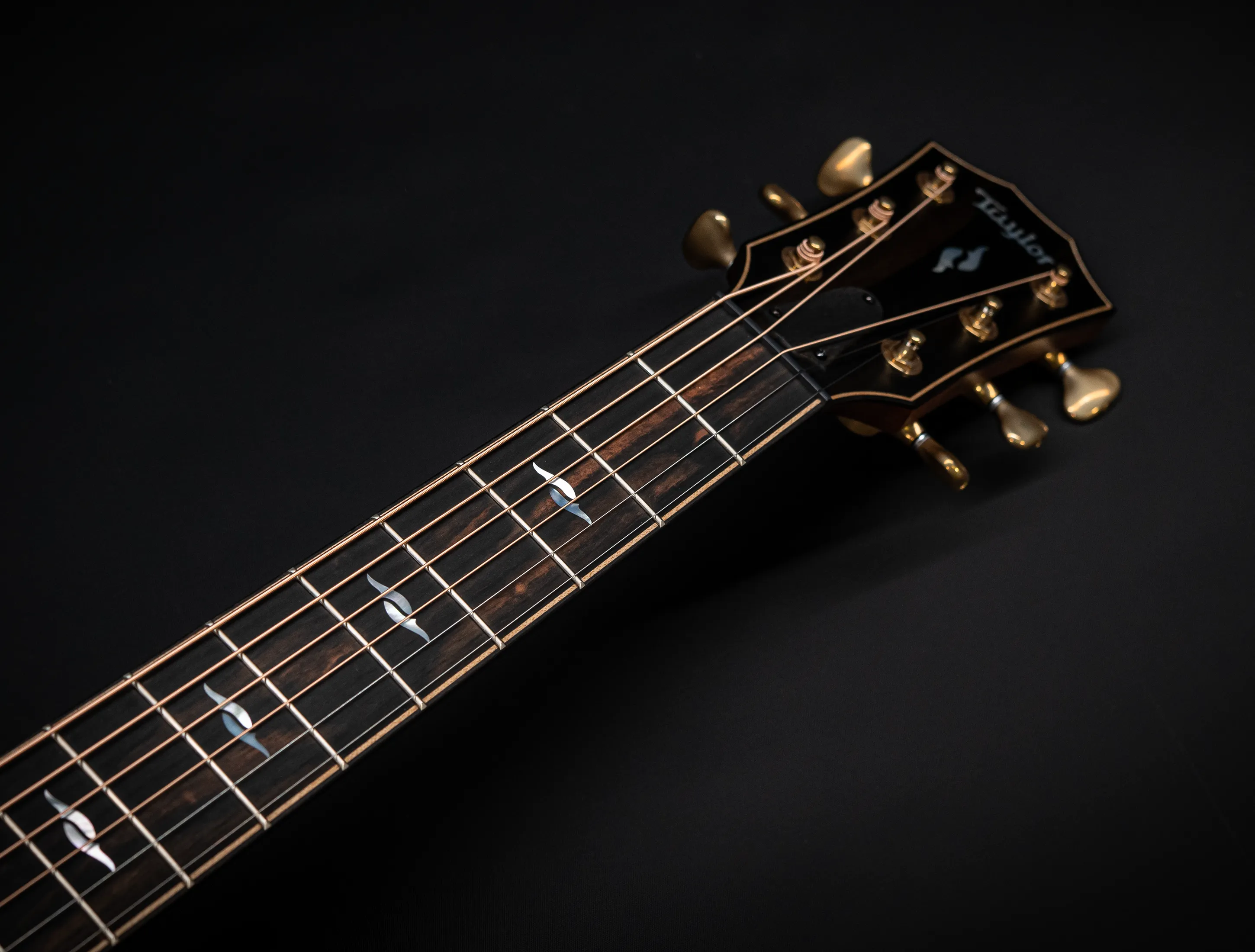 a171167 Taylor Builders Edition 814ce Honduras Palisander meets Adirondack Musikhaus-Hermann