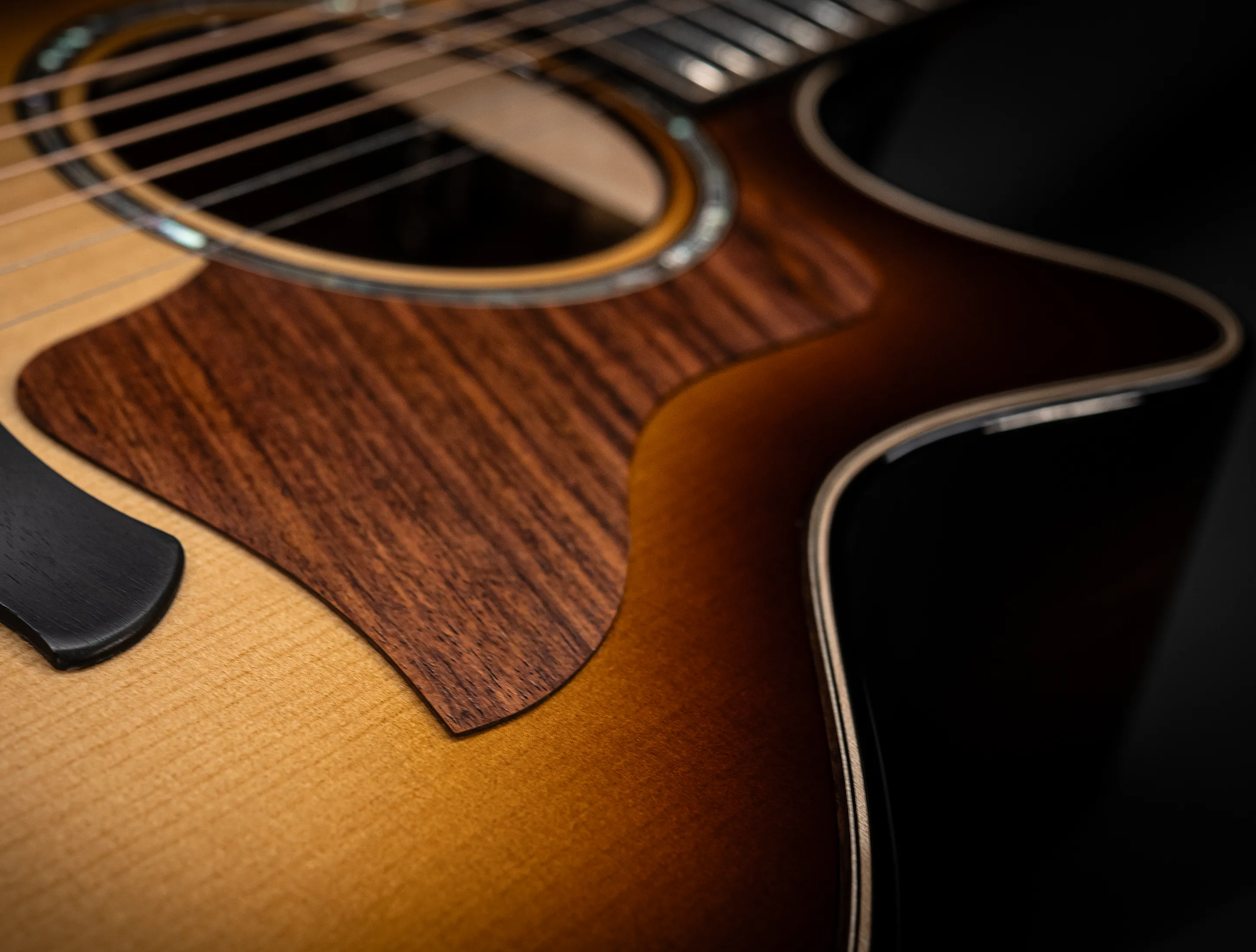 a171162 Taylor Builders Edition 814ce Honduras Palisander meets Adirondack Musikhaus-Hermann