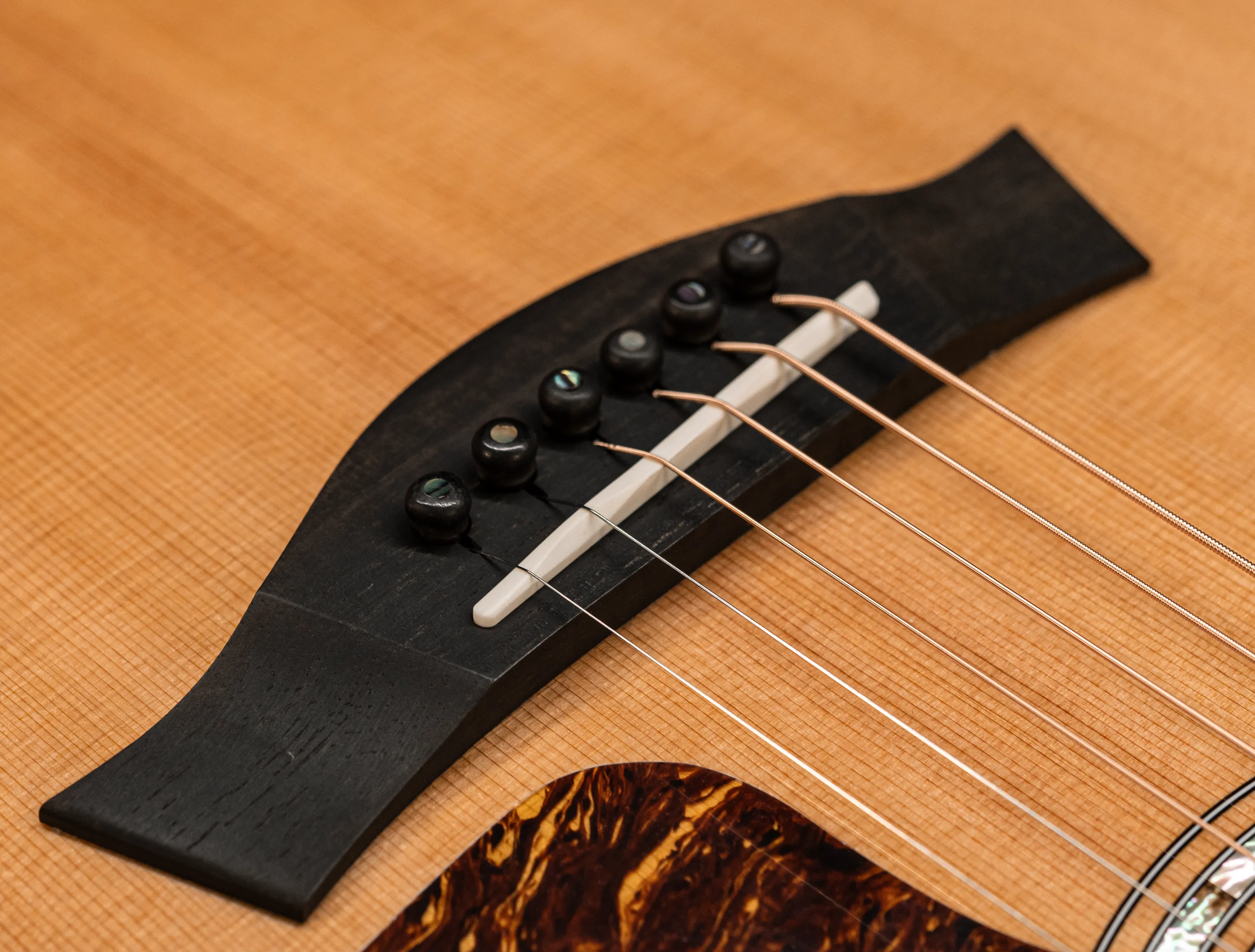 a170553 Taylor 514ce Legacy