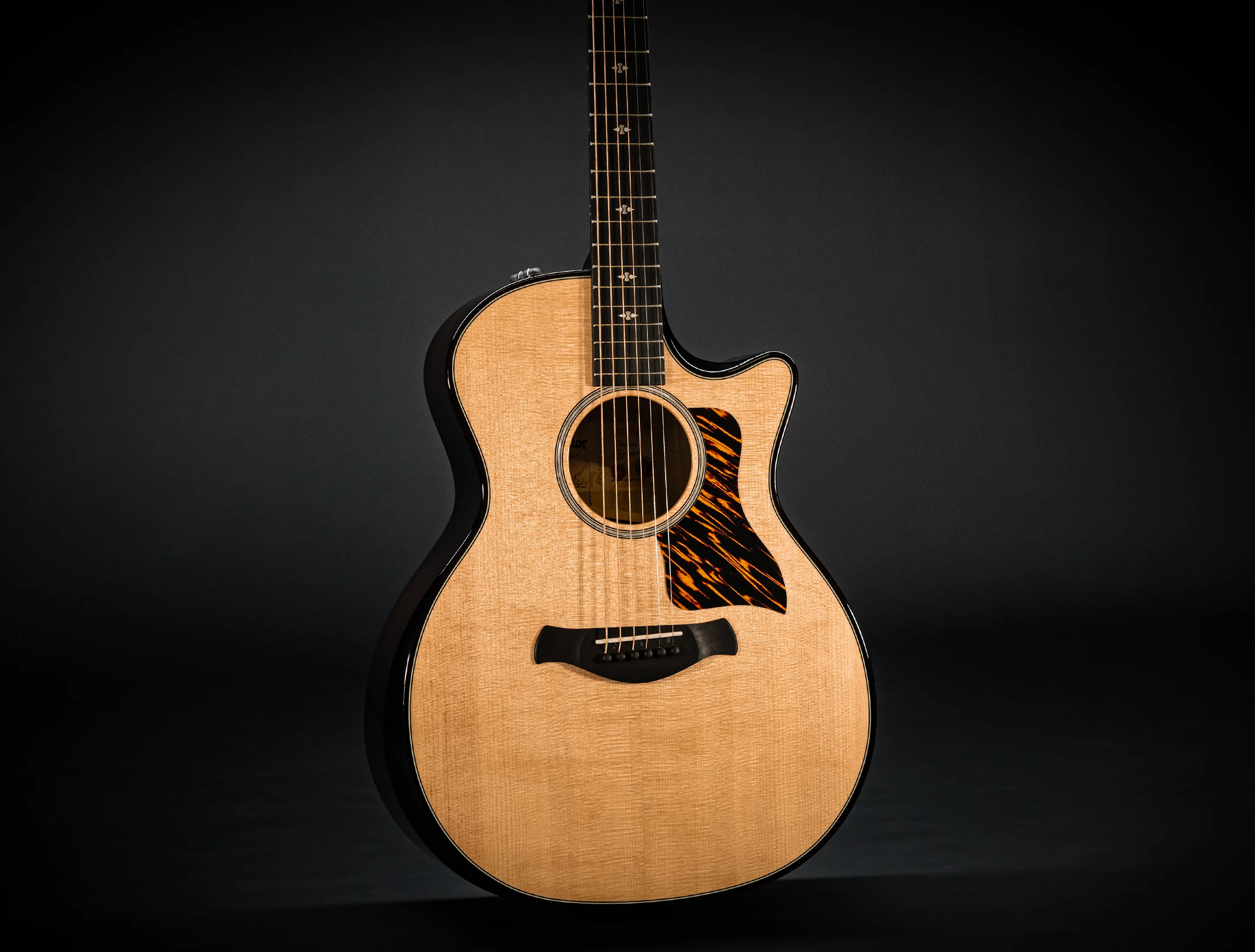 Taylor Builder's Edition 514ce Natural