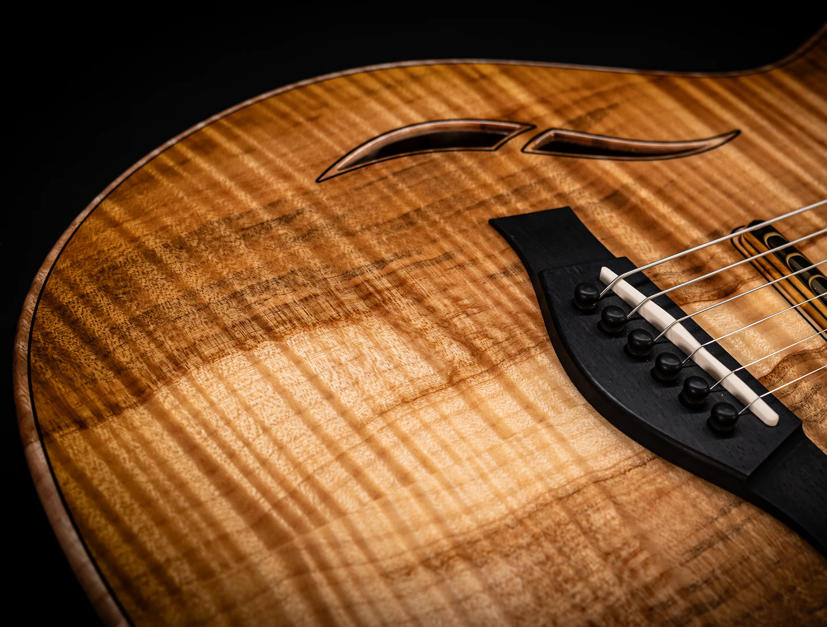 a174928 Taylor Custom T5z Boxwood Antique Blonde musikhaus-hermann