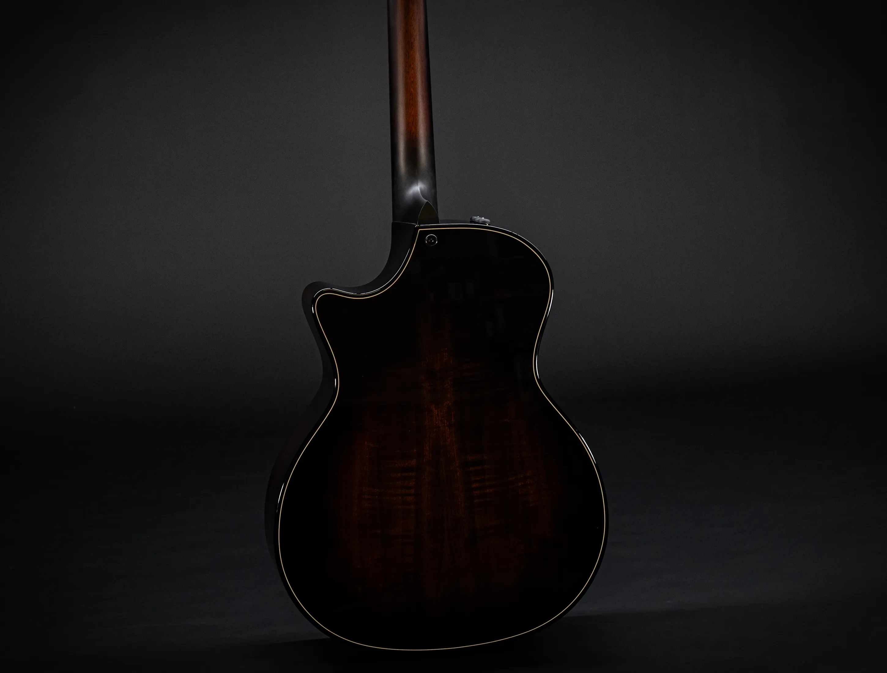 a174175 Taylor 514ce Builders Edition Natural musikhaus-hermann