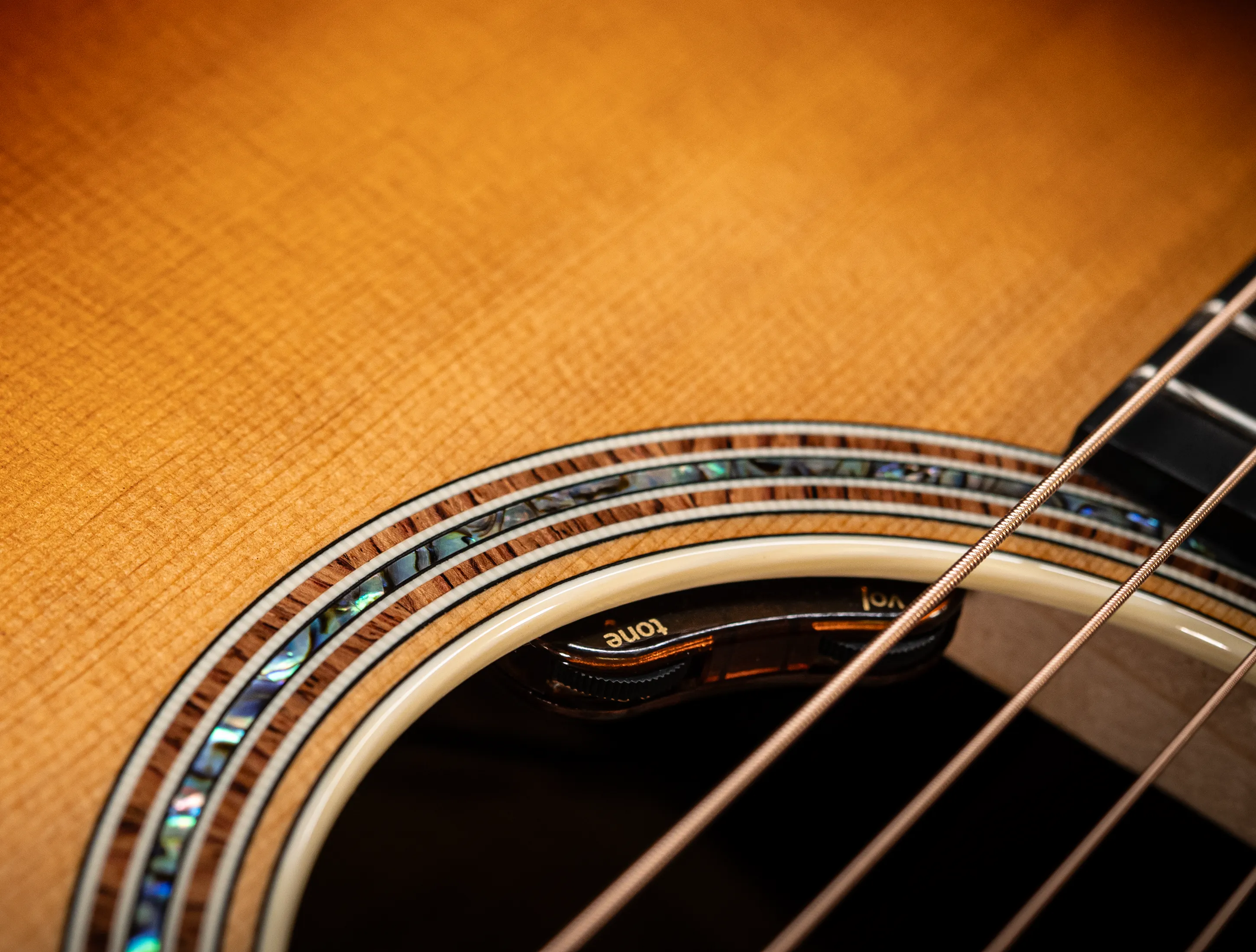 a172057 Taylor Gold Label 814e Koa Sunburst Top - Musikhaus Hermann