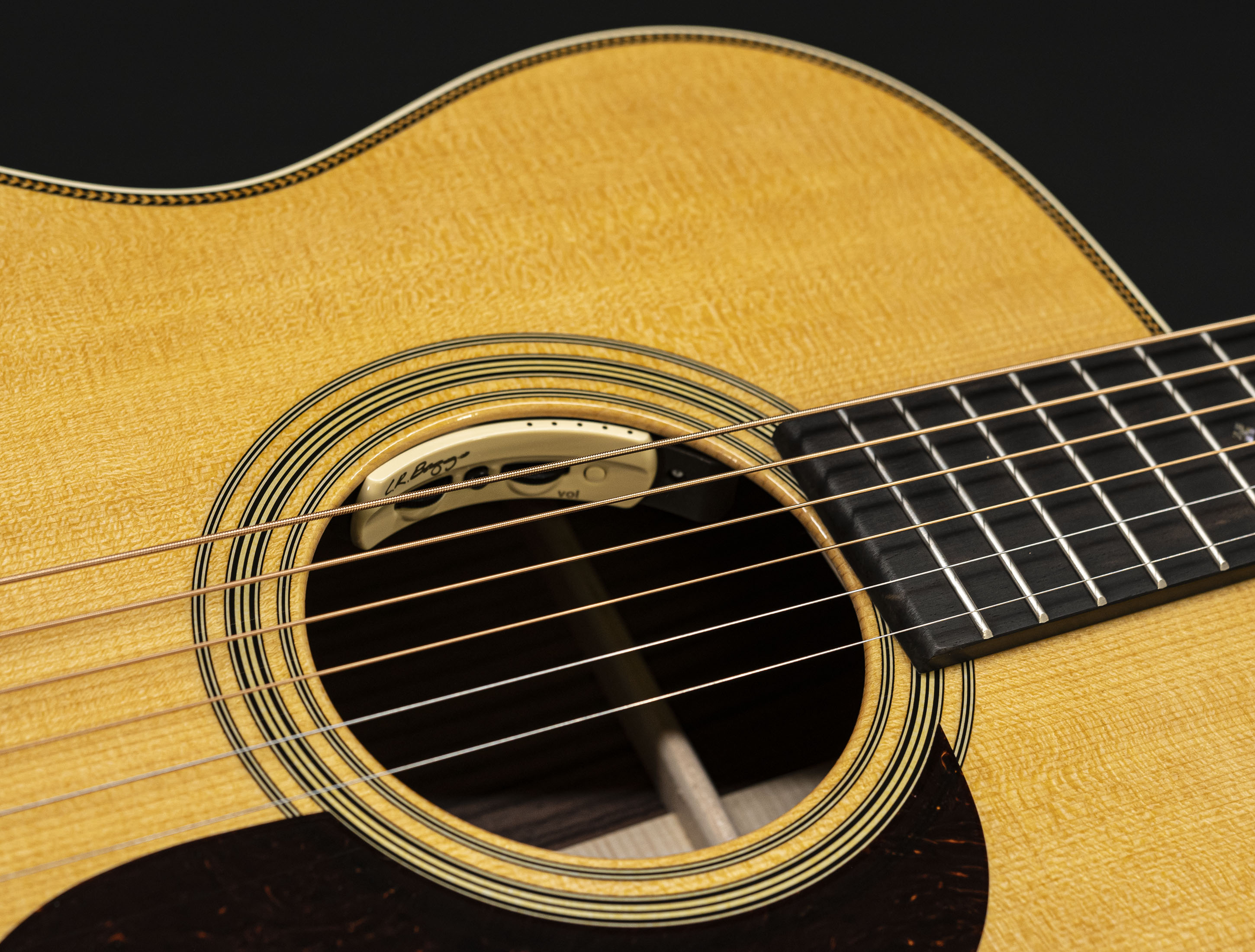 Galerie anzeigen (15 Bilder) a115590 martin-000-28-reimagined-lr-baggs-anthem